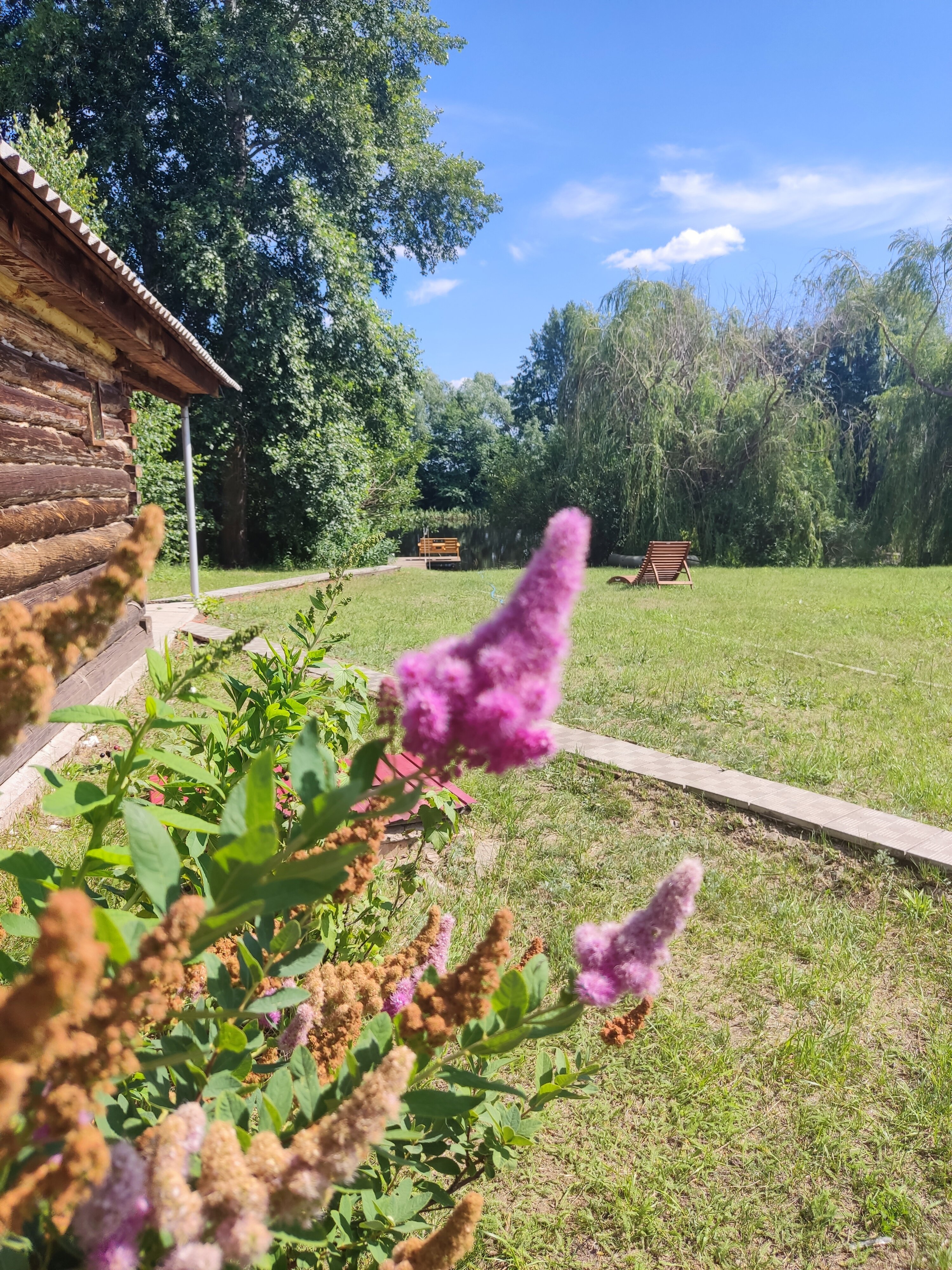 Фото Елховый берег