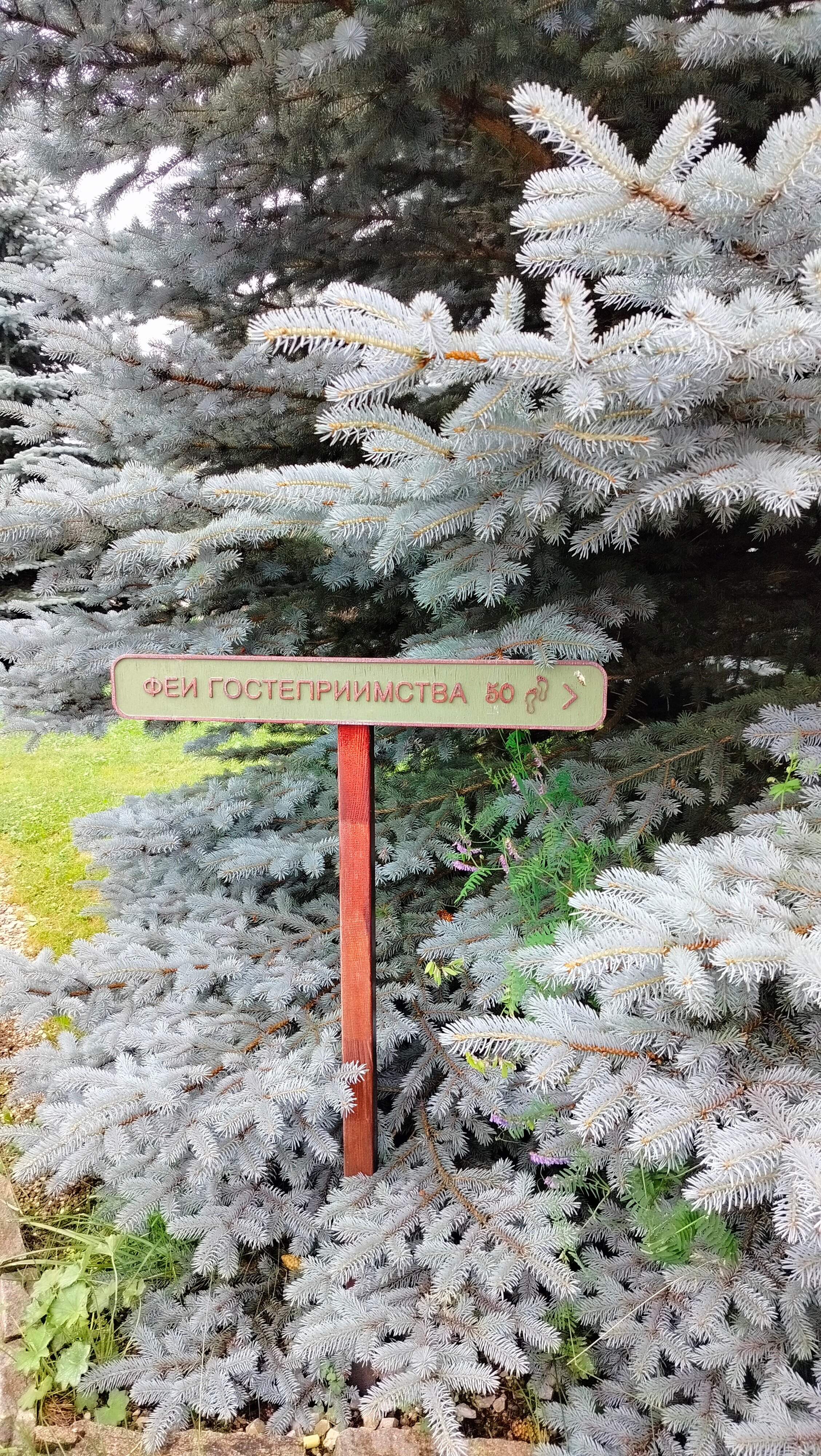 Фото Здрава Дача