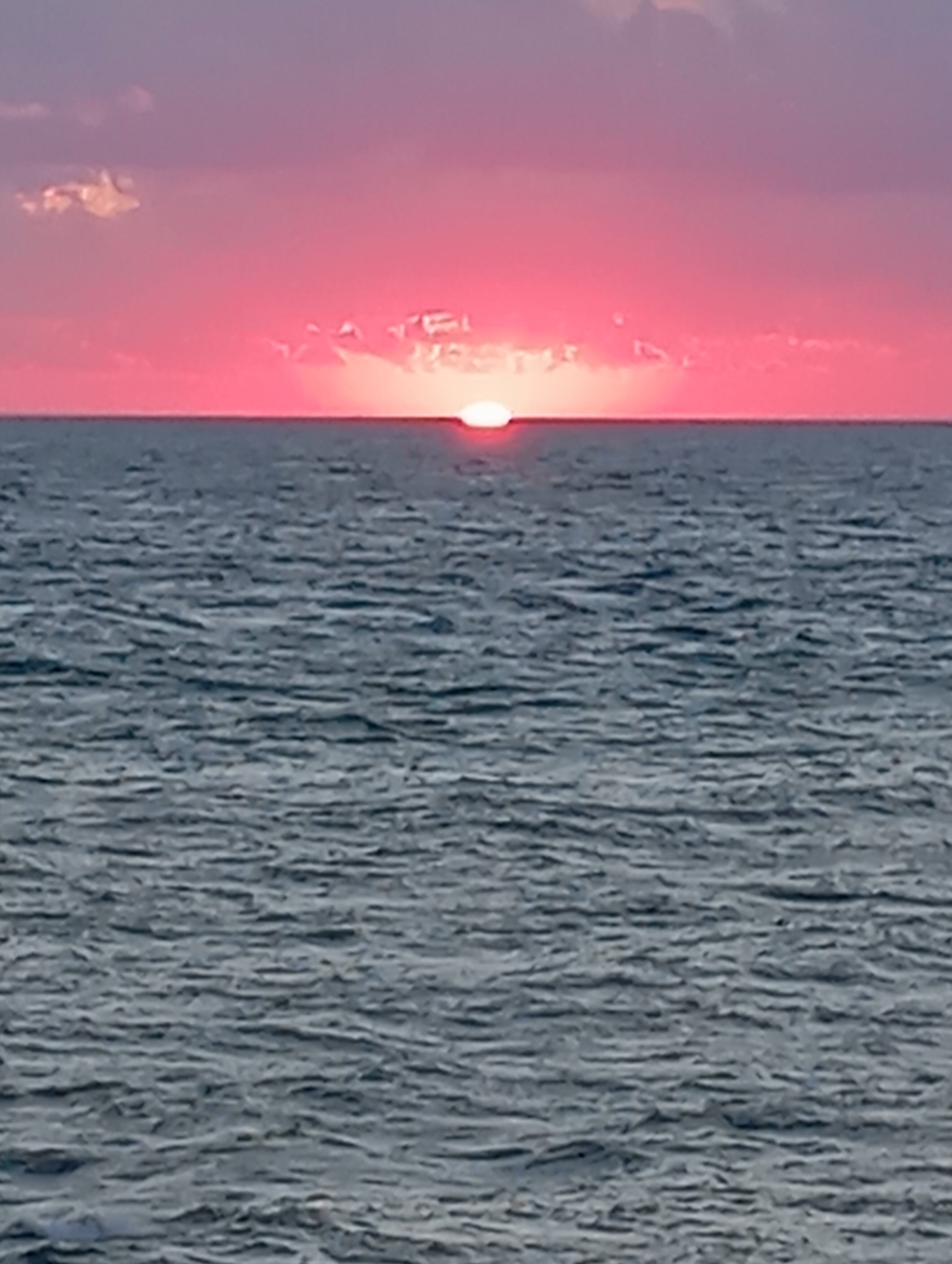 Фото Hotel Medusa