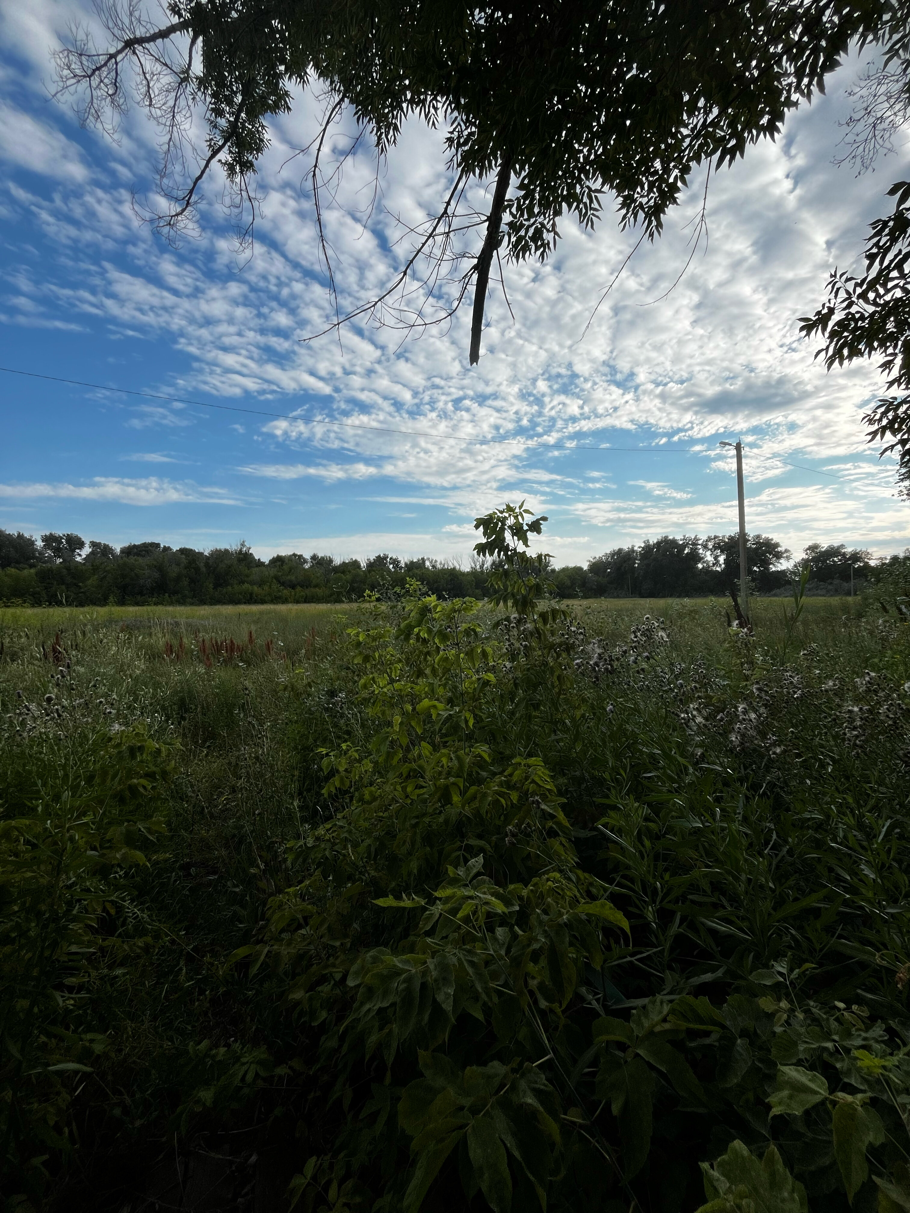 Фото Николаевский