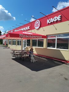 Pomponchik (Tula Region, Chernskiy rayon, selskoye poseleniye Turgenevskoye, derevnya Medvezhka), cafe