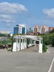 Analda katta va qalin dick