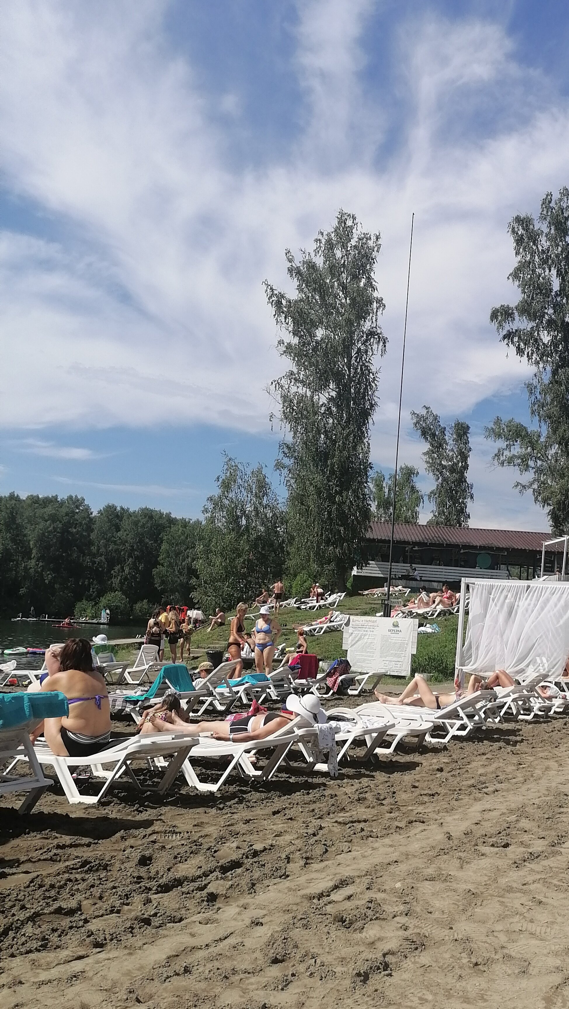 Фото Берёзка