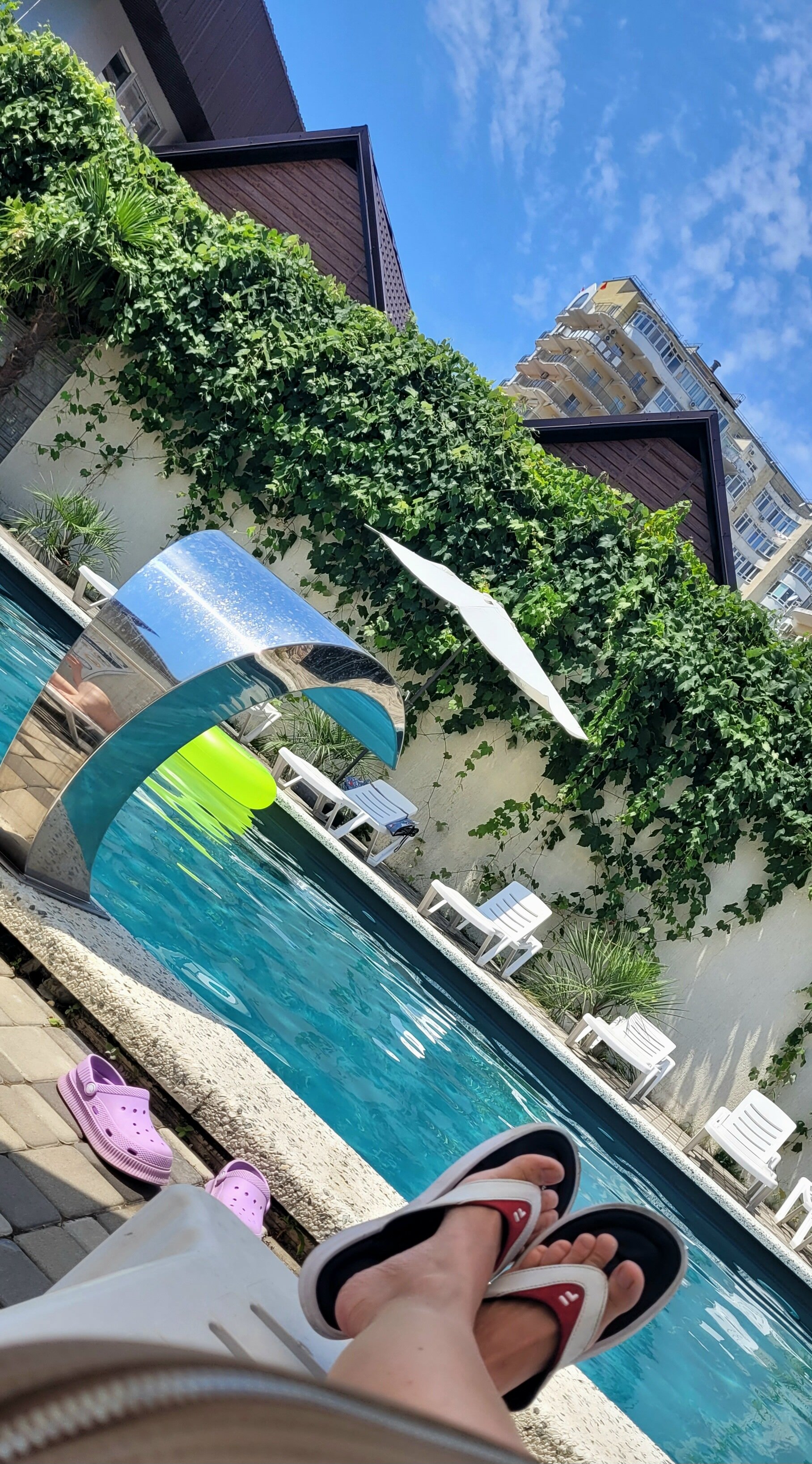 Фото Афалина+