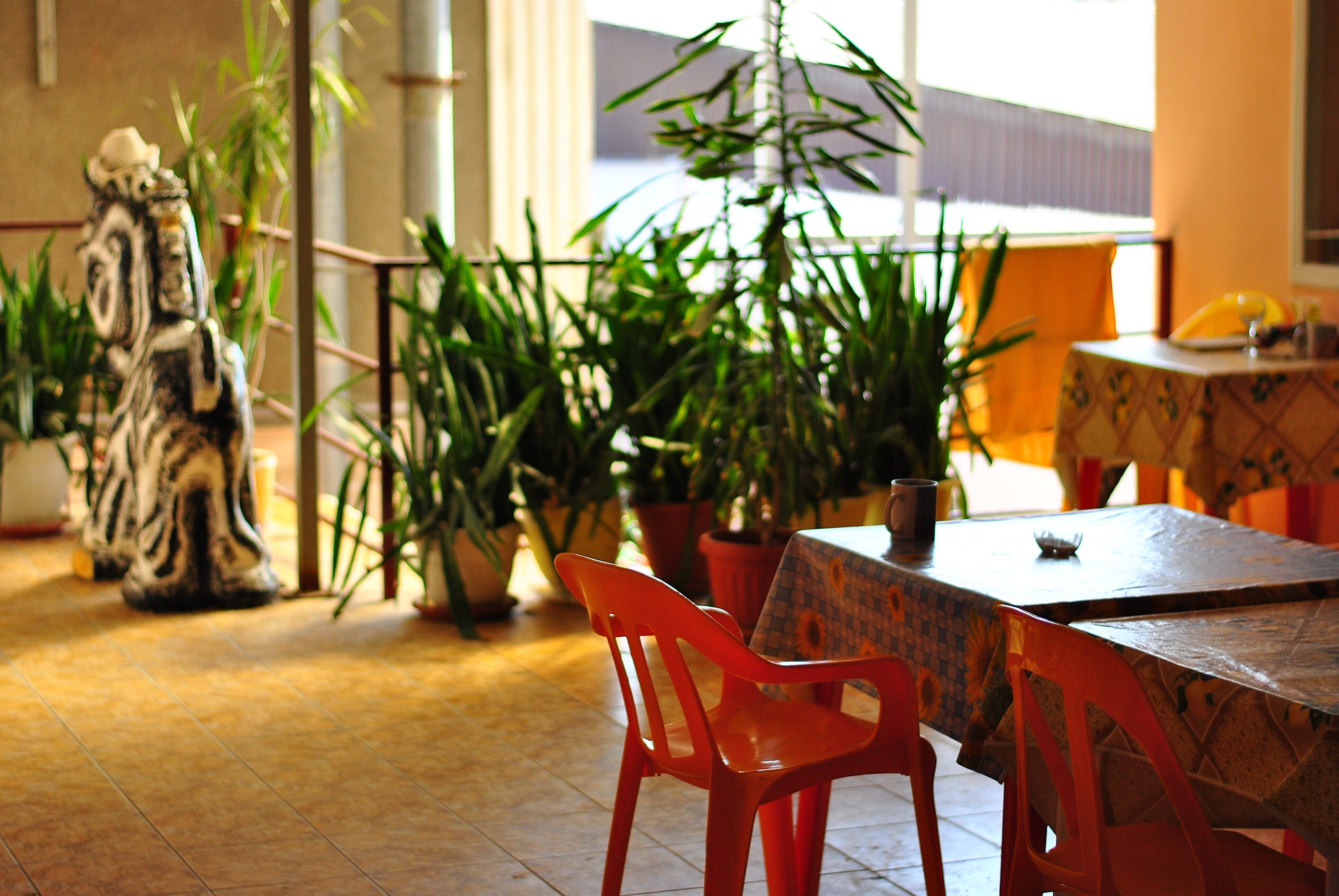 Фото На Черноморской 100