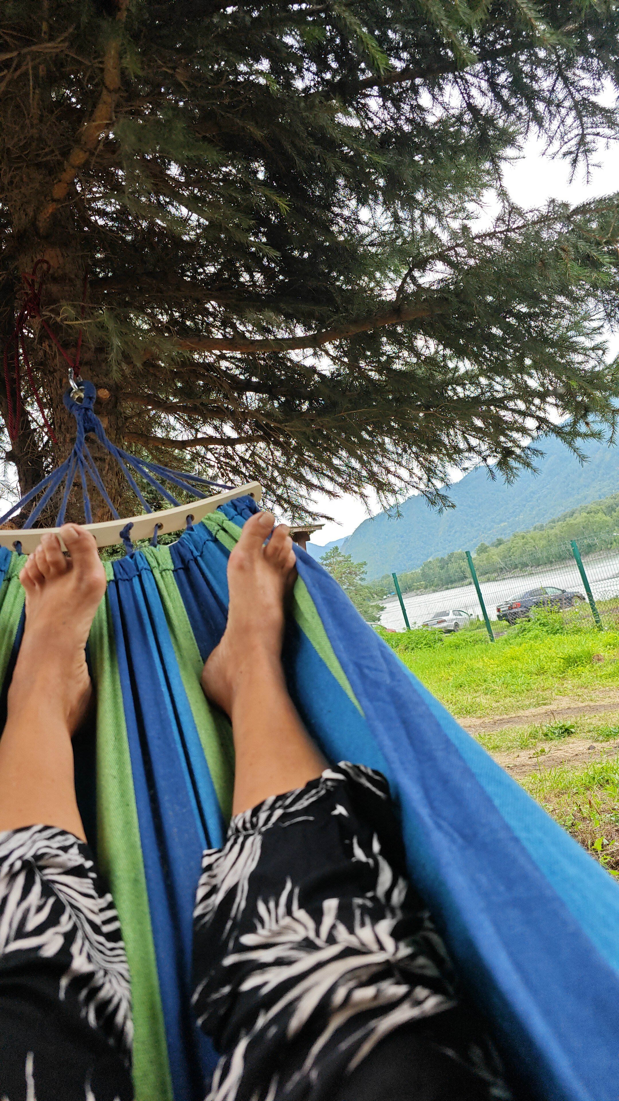 Фото Зубы Дракона