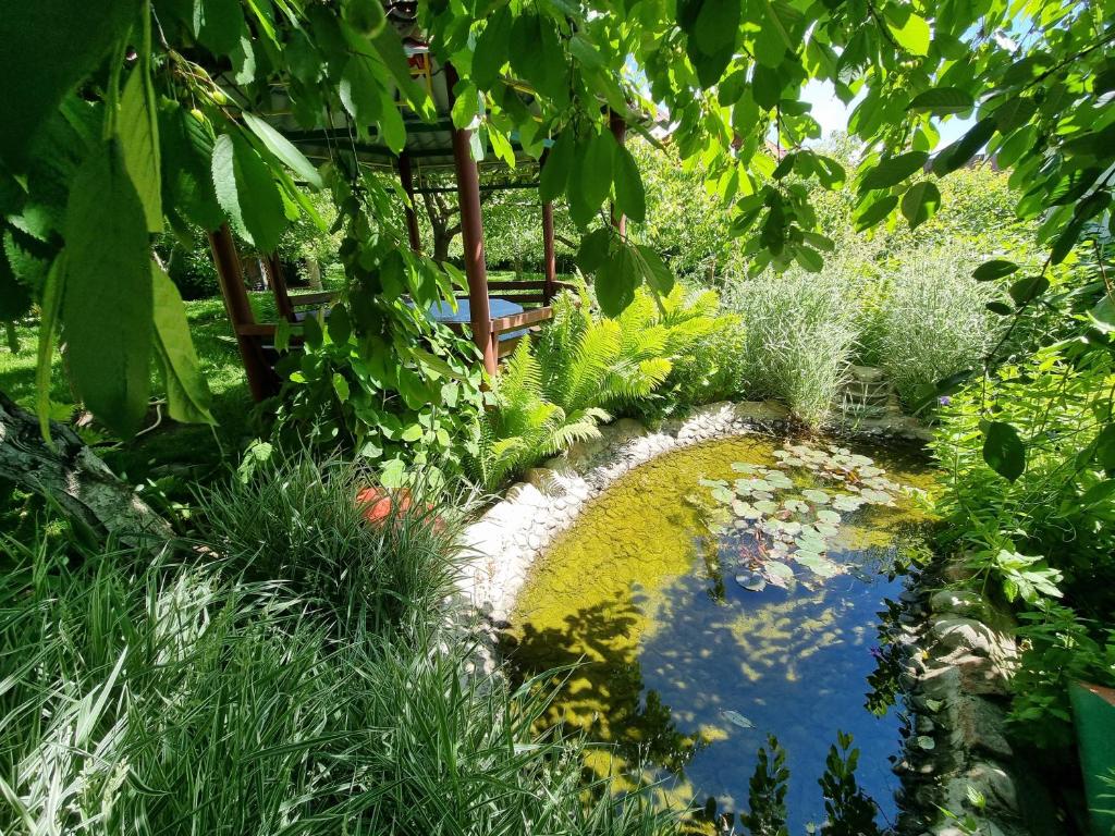 Фото Гостевой дом Морячка