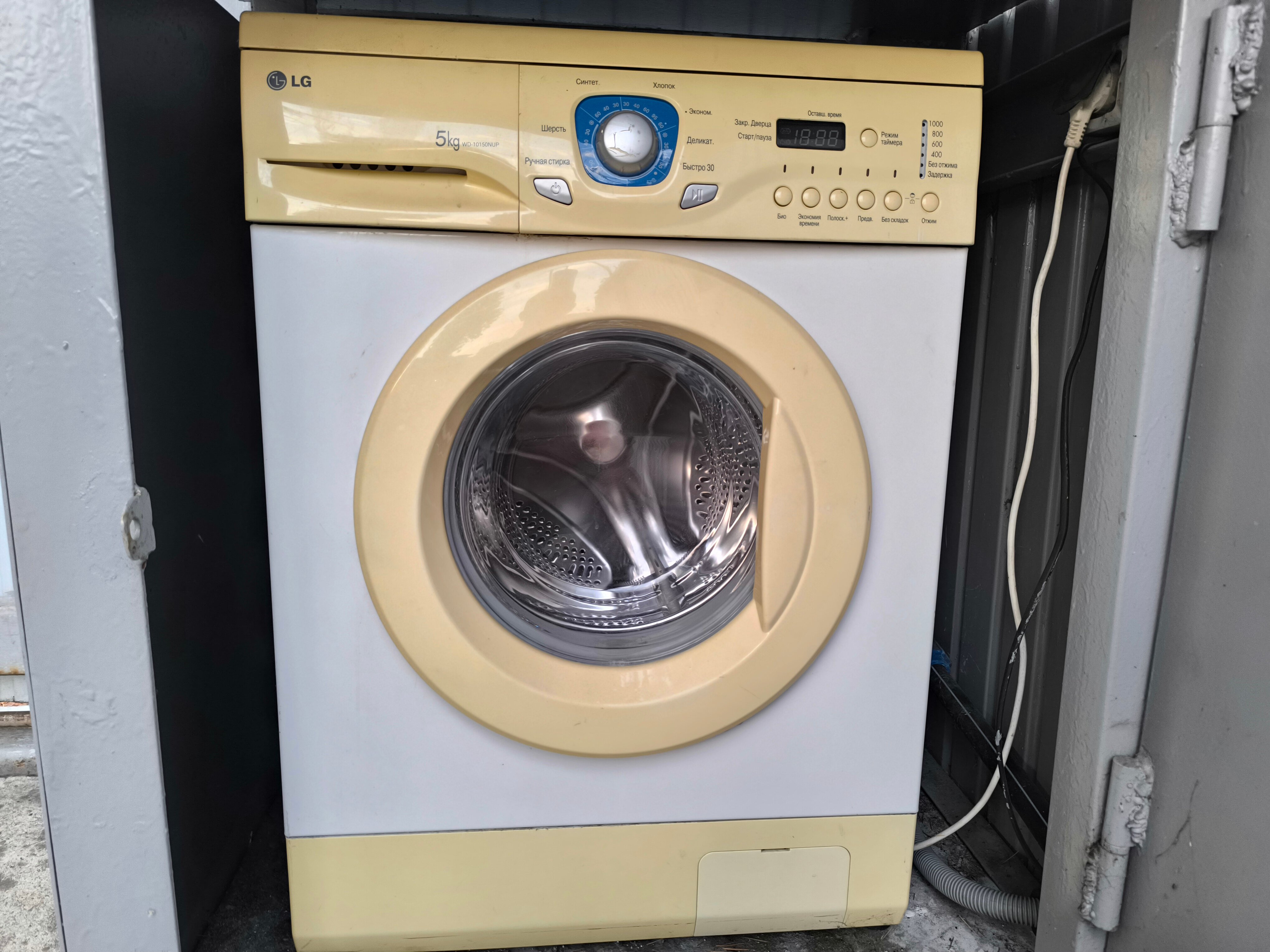 Фото У Кедра