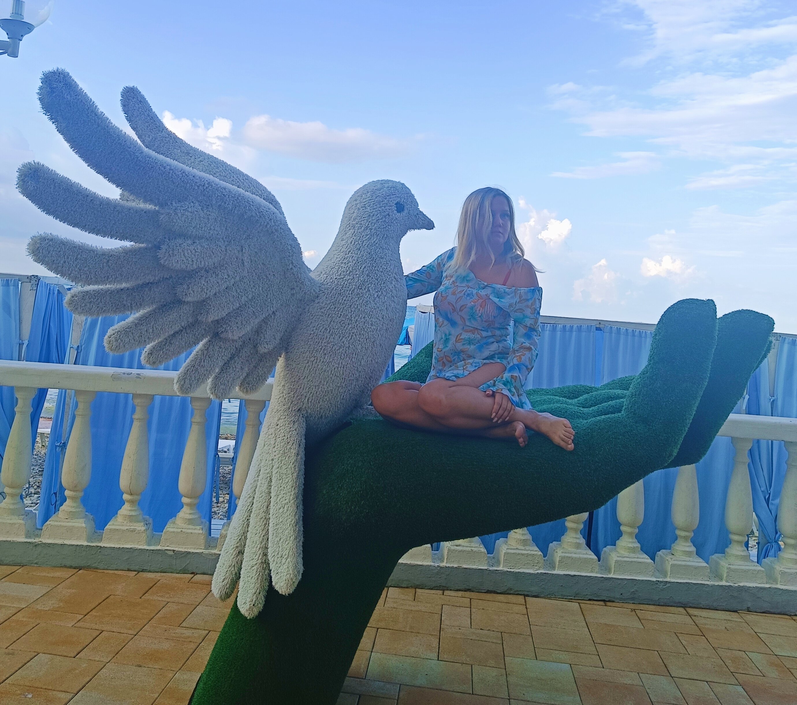 Фото Кипарис