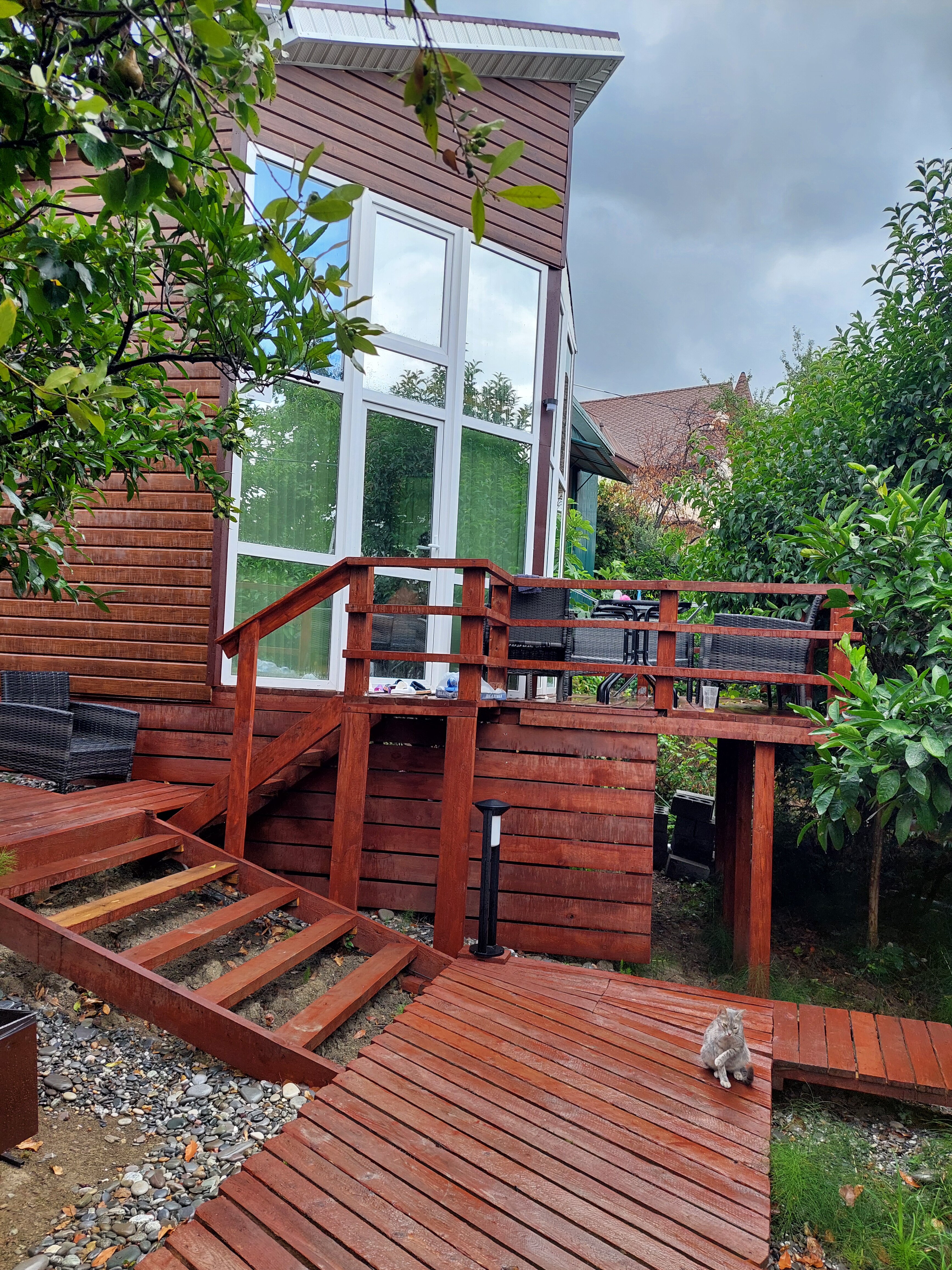 Фото Сочинский берег