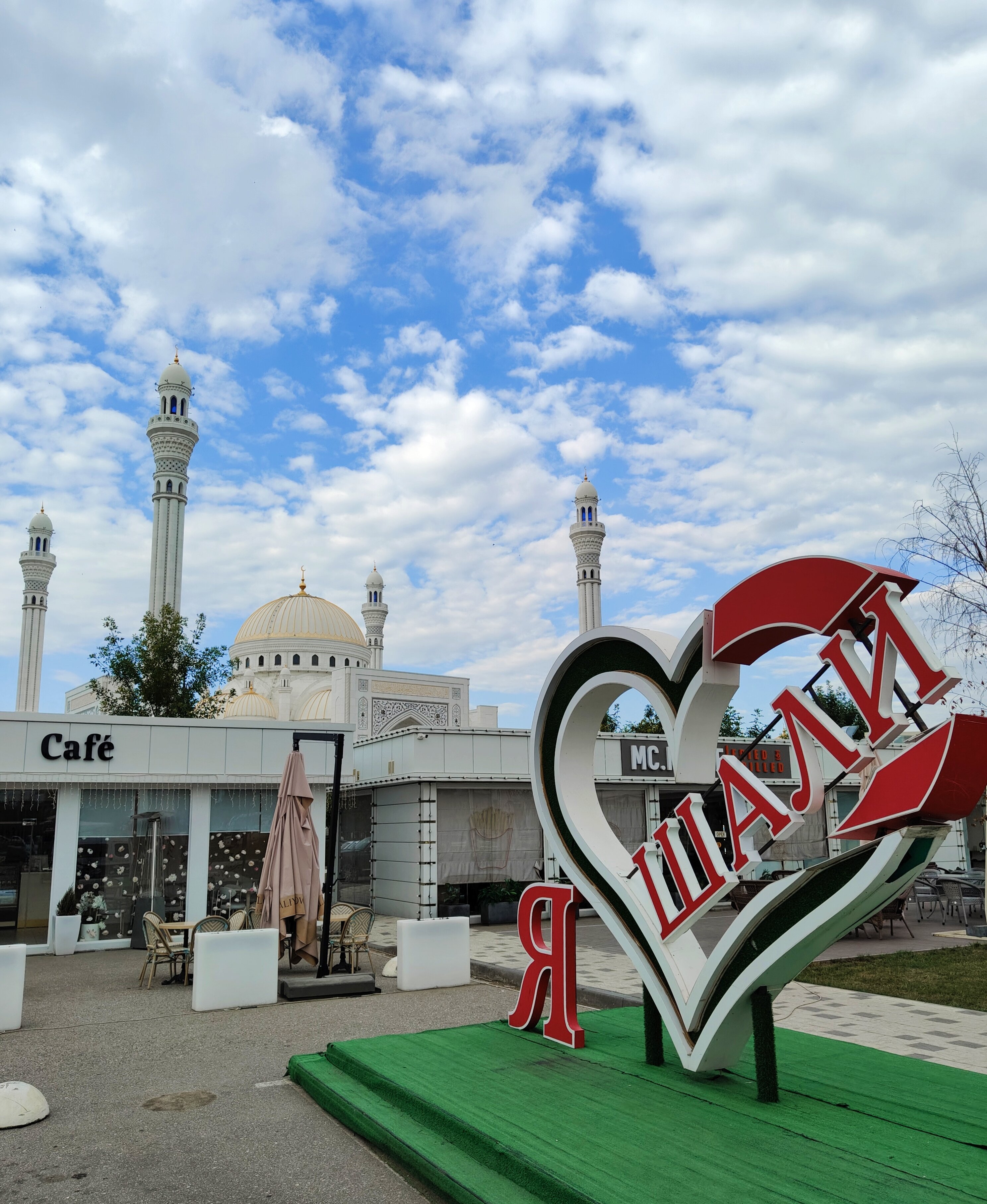 Фото Шали-Сити