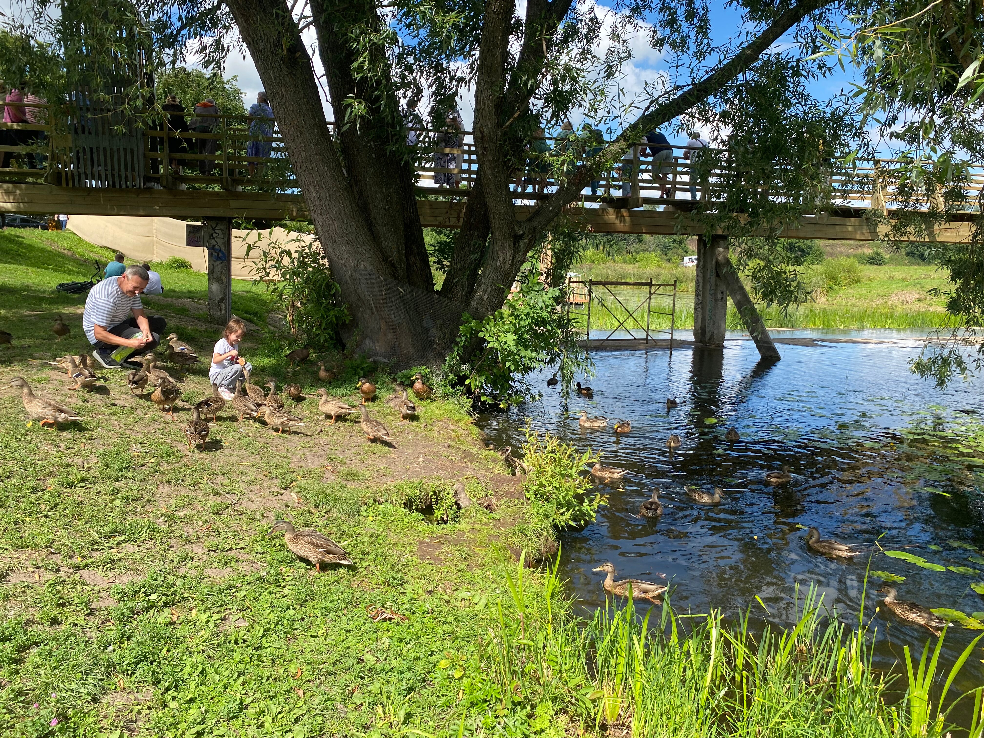 Фото Времена года
