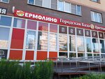 Yermolino (rabochiy posyolok Sverdlovskiy, Zarechnaya ulitsa, 1), grocery