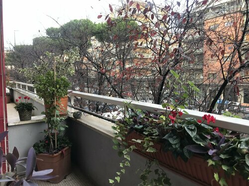 Гостиница Casa Mia Vaticano Guest House в Риме