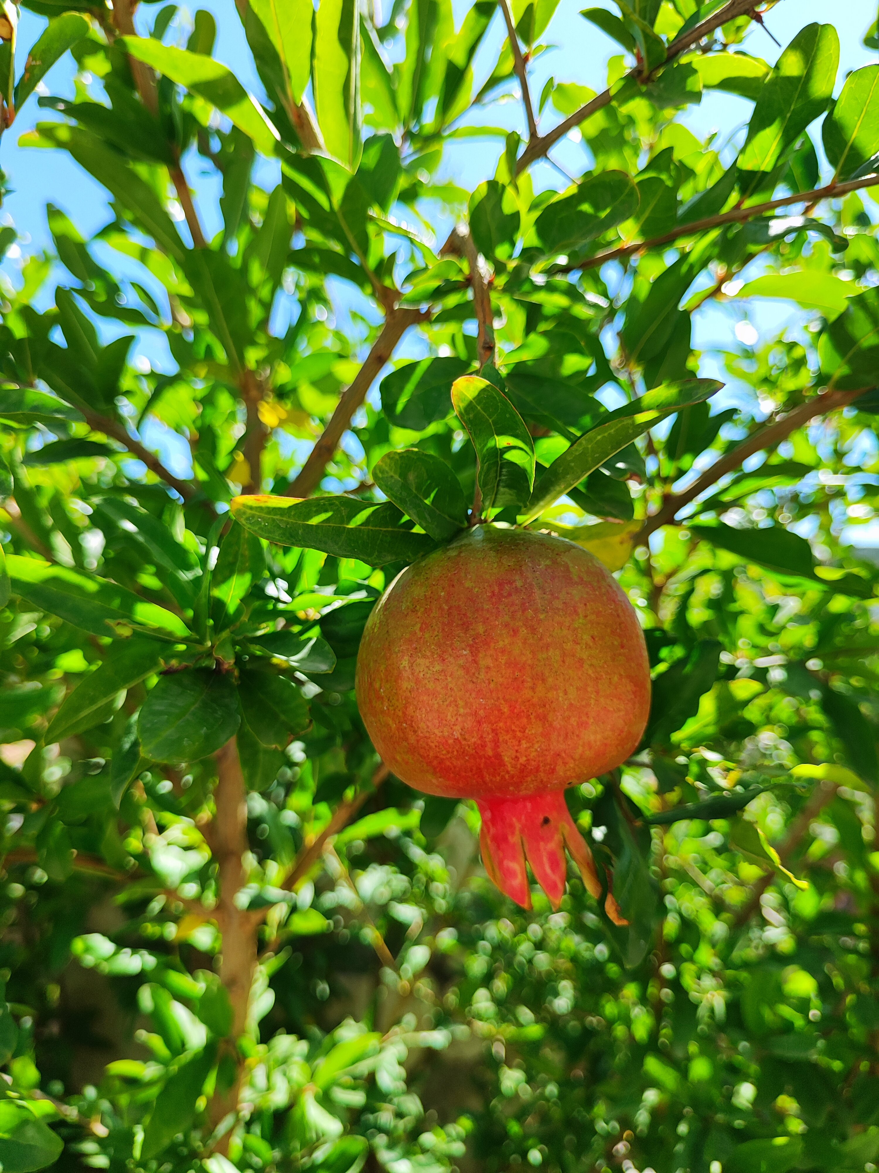 Фото Ак-Сарай