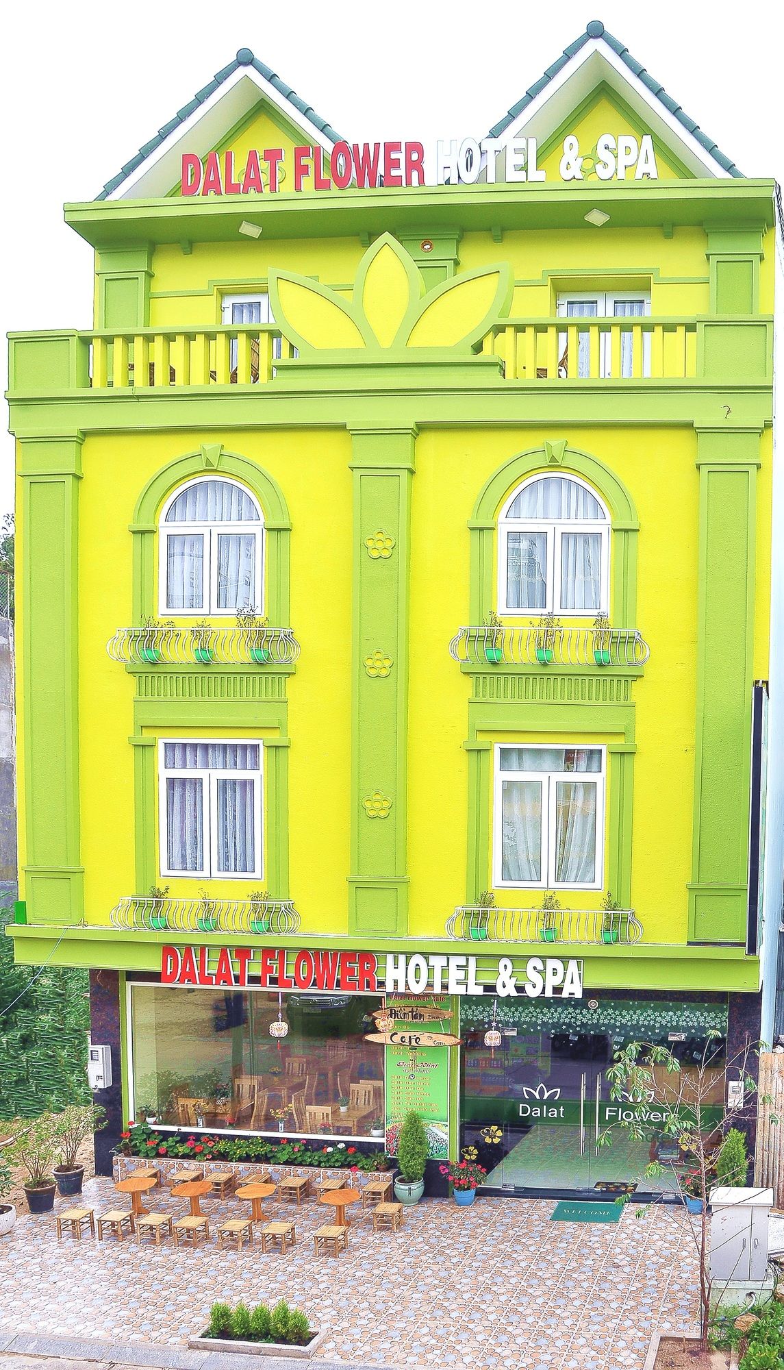 Фото Dalat Flower Hotel