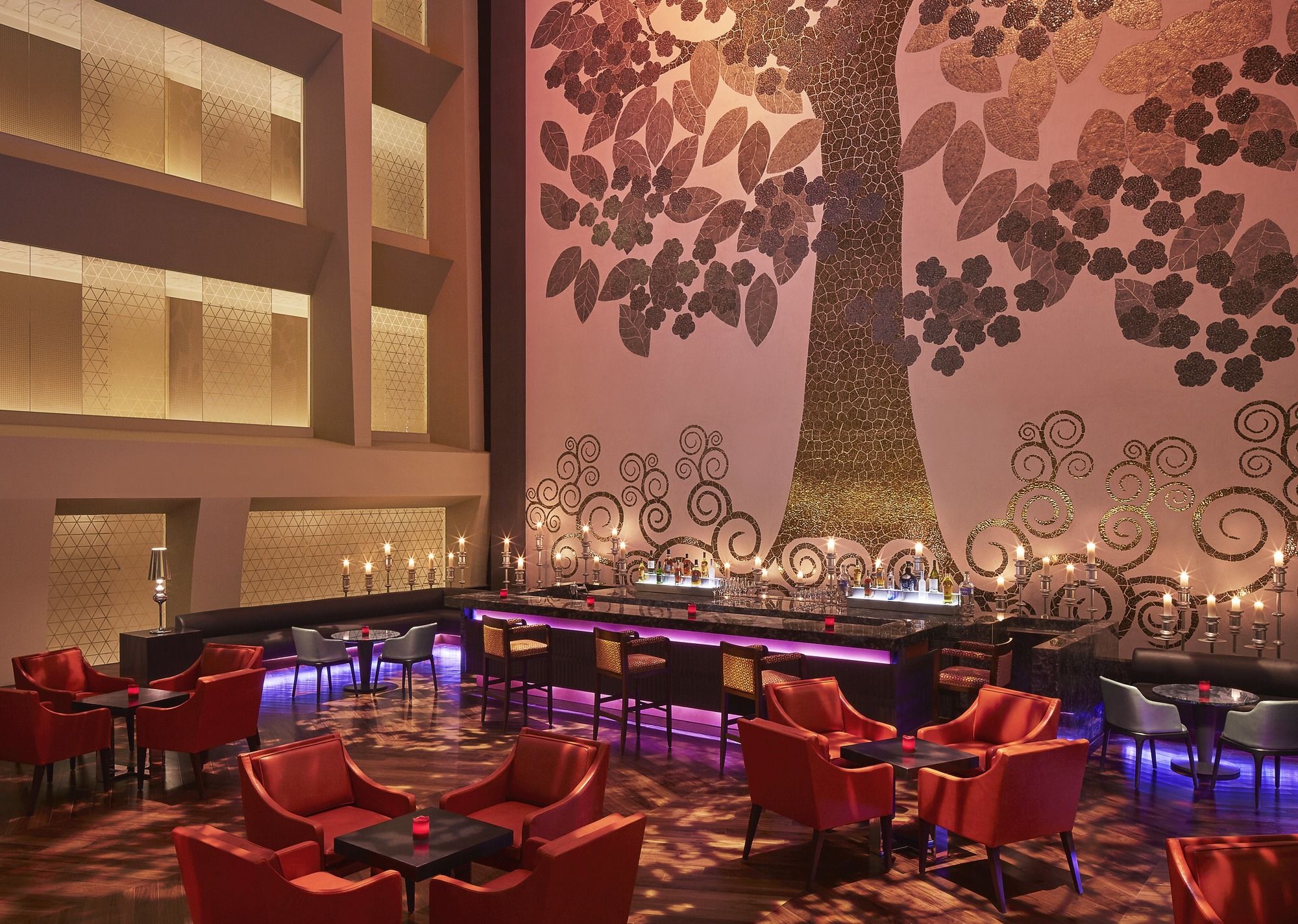 Фото Taj Santacruz