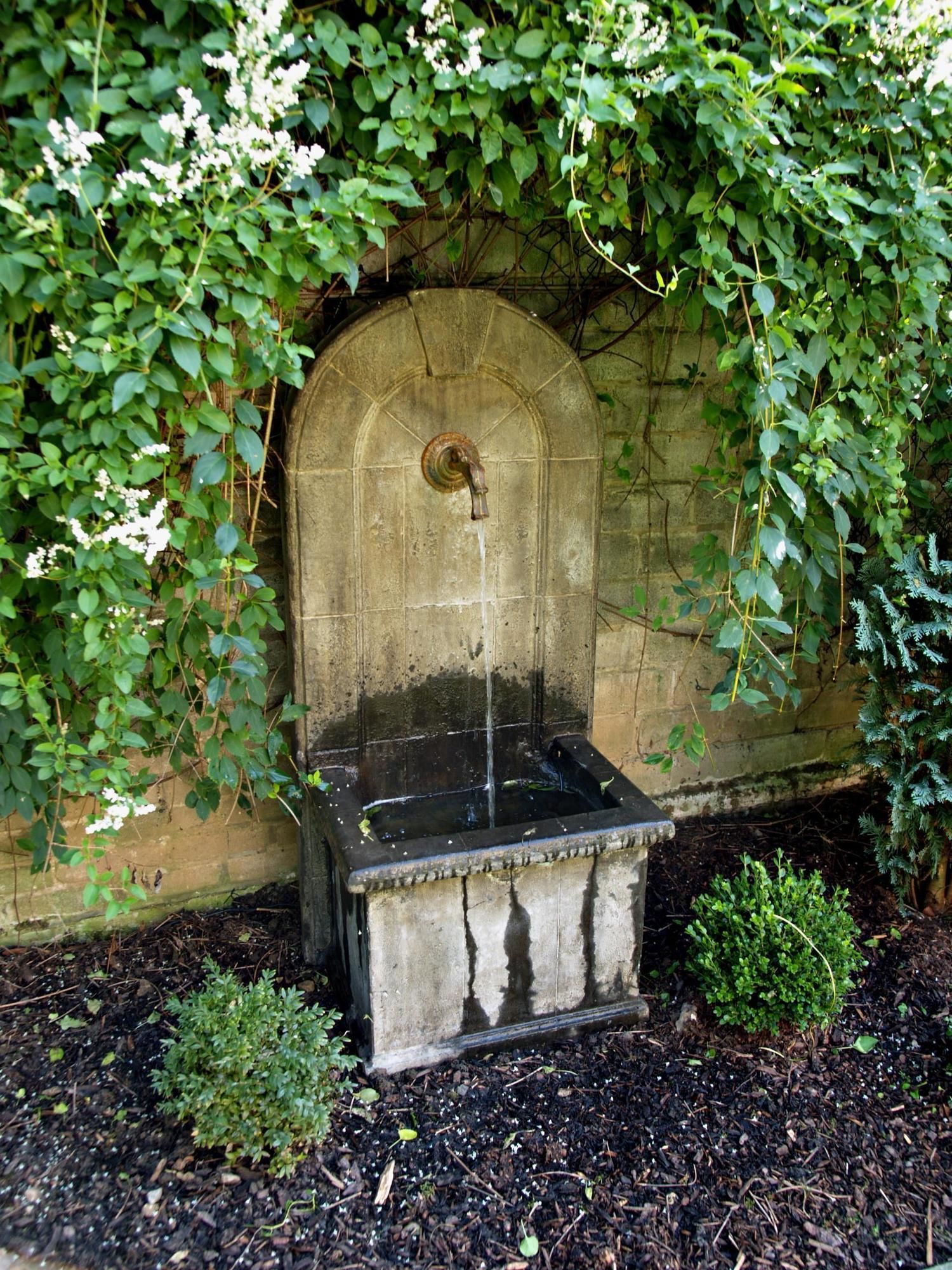 Фото Boutiquehotel Dreesen-Villa Godesberg