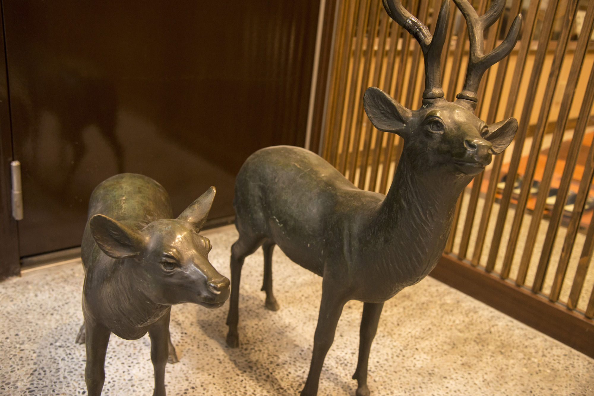 Фото Tenpyo Ryokan