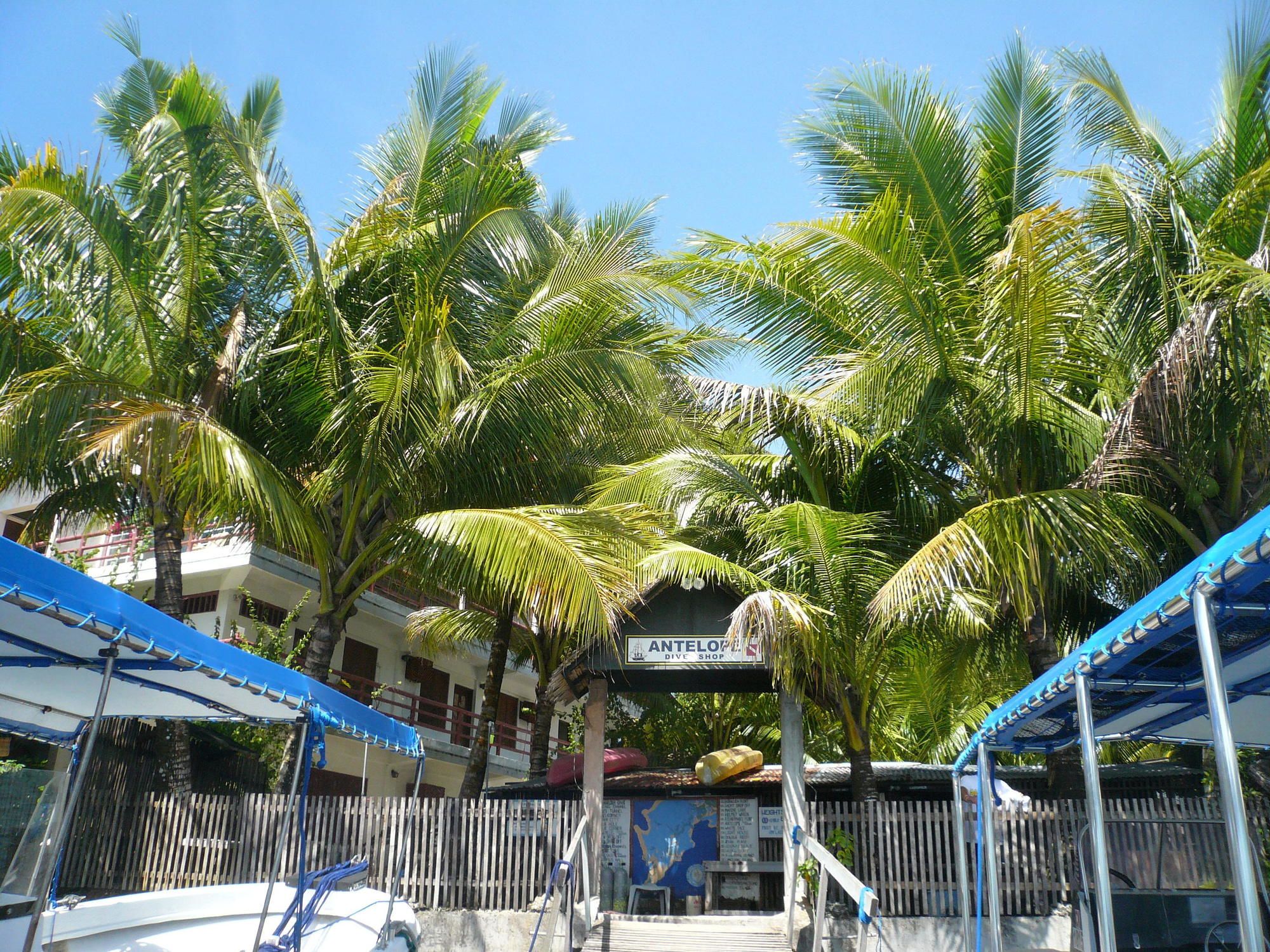 Фото Antelope Guesthouse