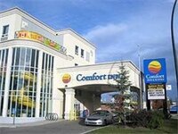 Гостиница Comfort Inn & Suites University