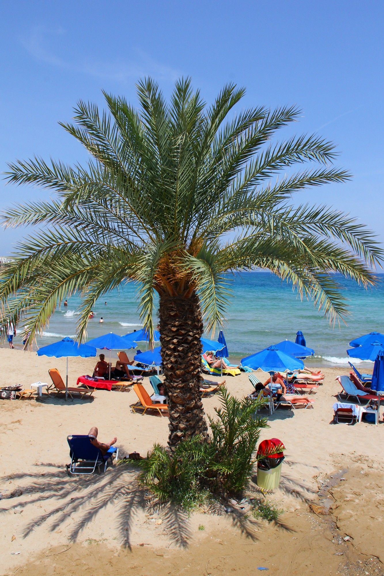 Фото Psaras Apartments