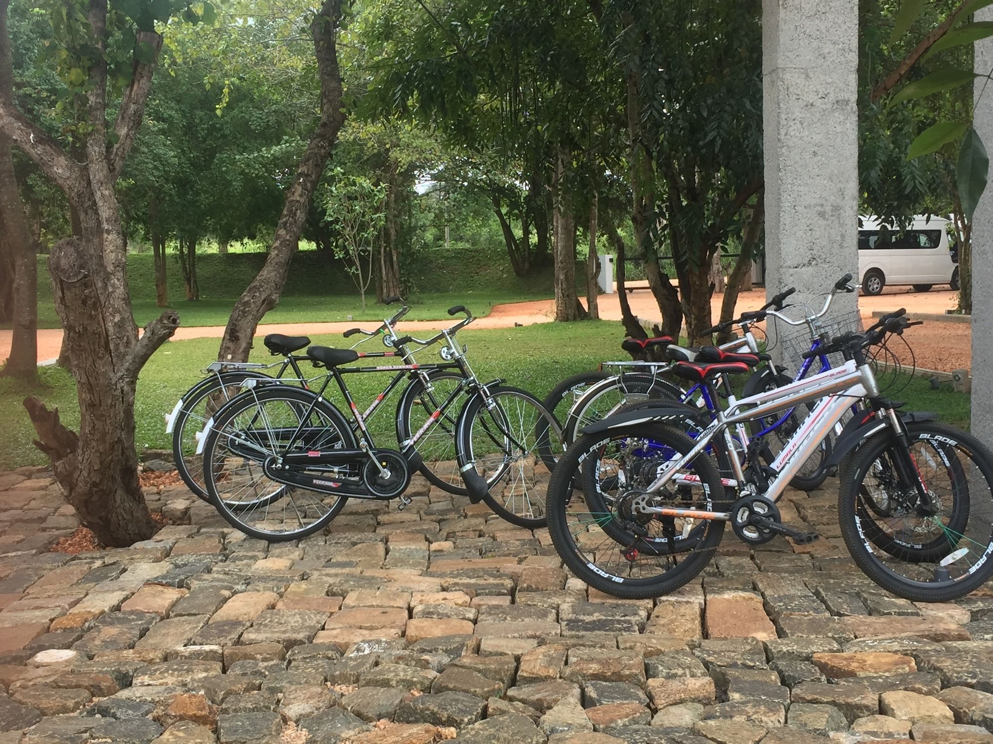 Фото La Jungle Vista sigiriya