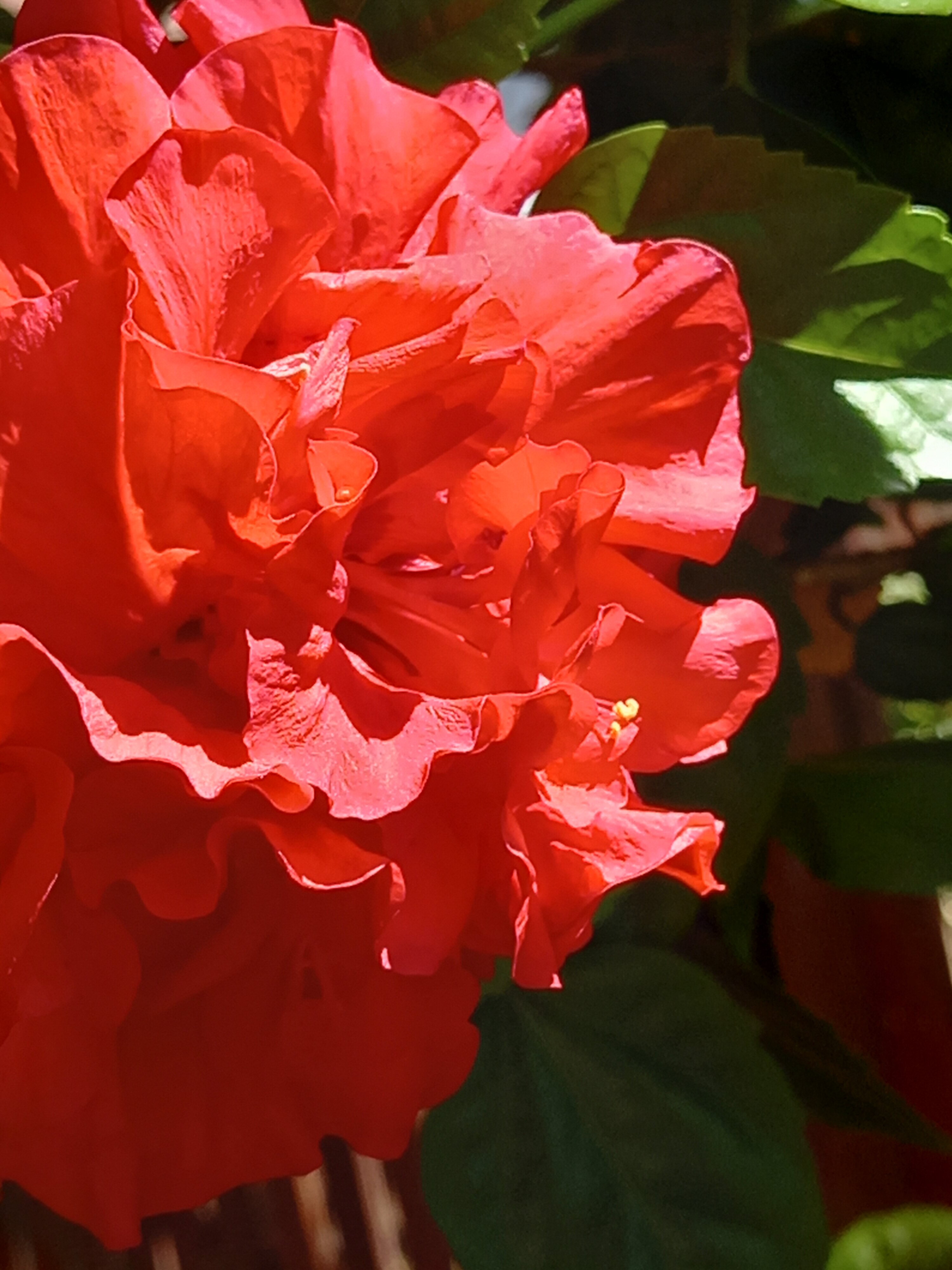 Фото Ай Василь