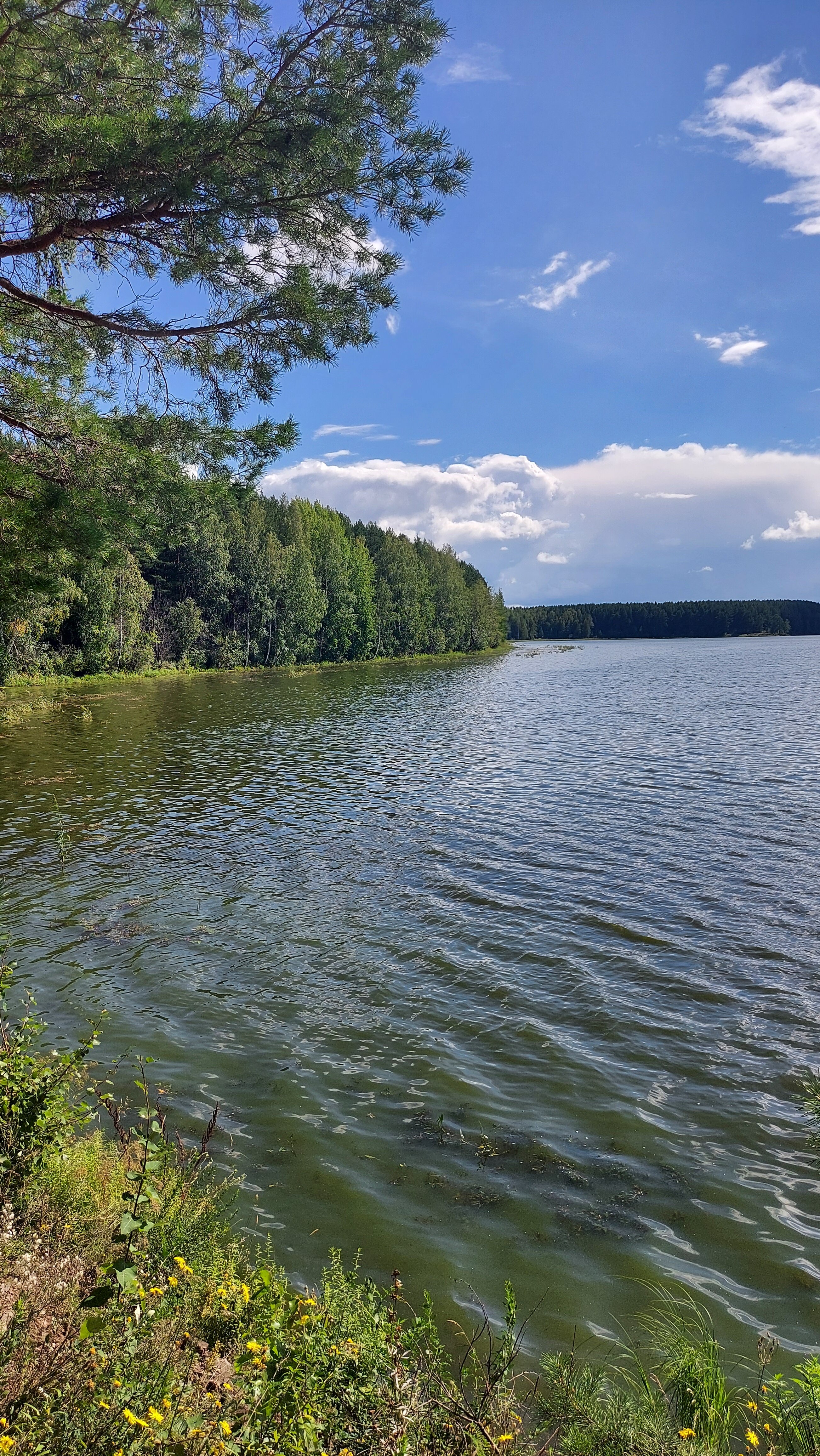 Фото Зелёный мыс