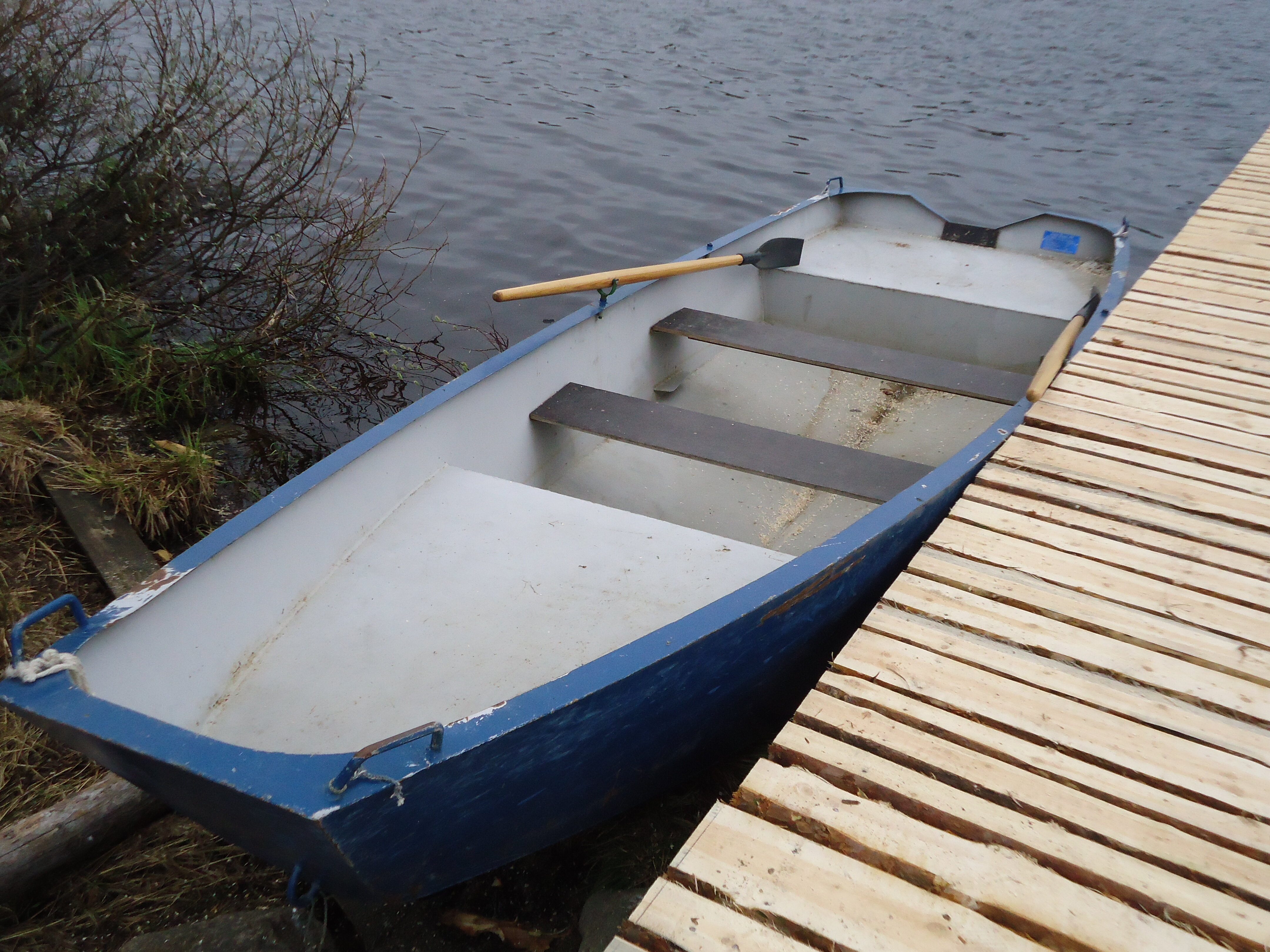 Фото Лось&Мох