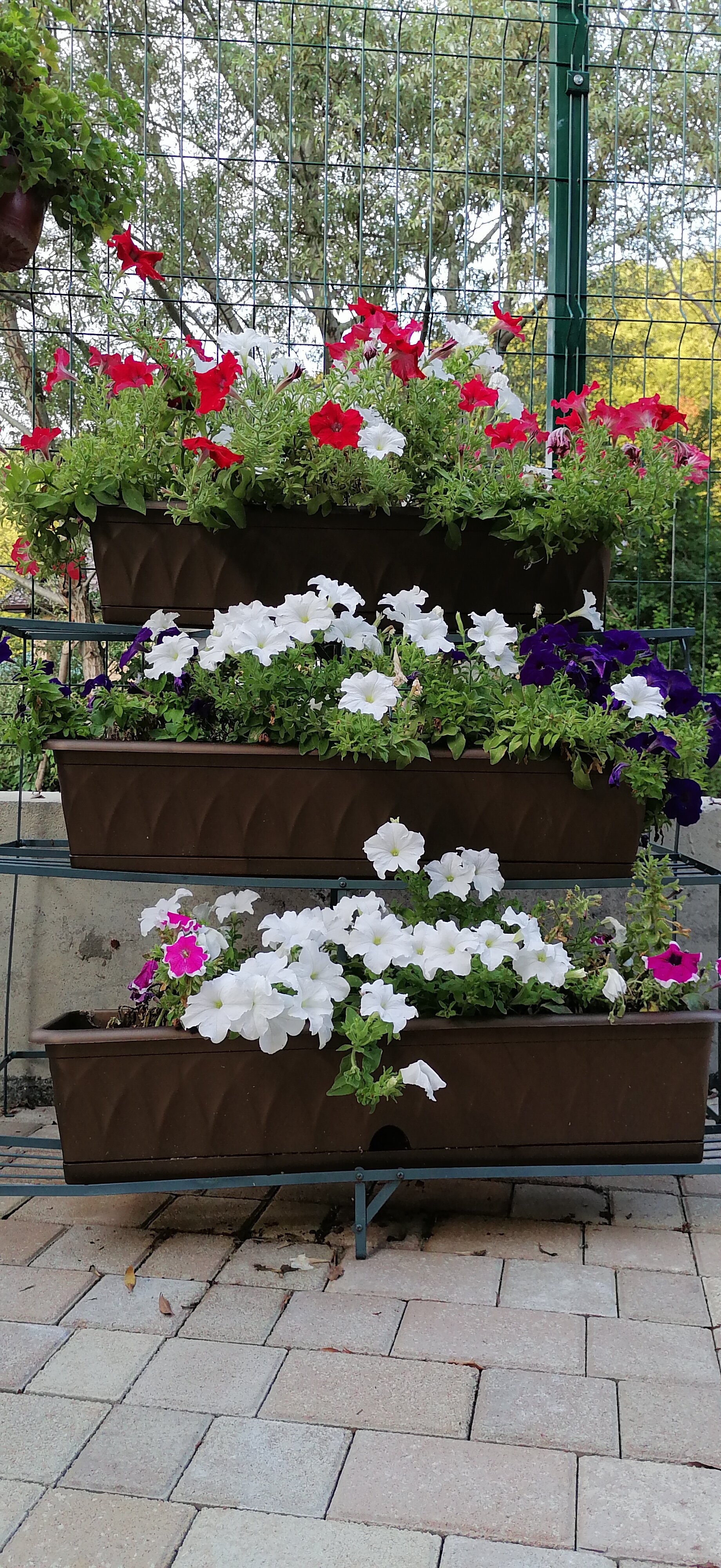 Фото Папа и море