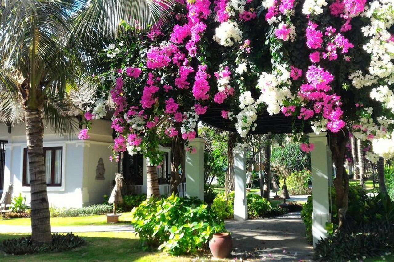 Фото Muine Bay Resort