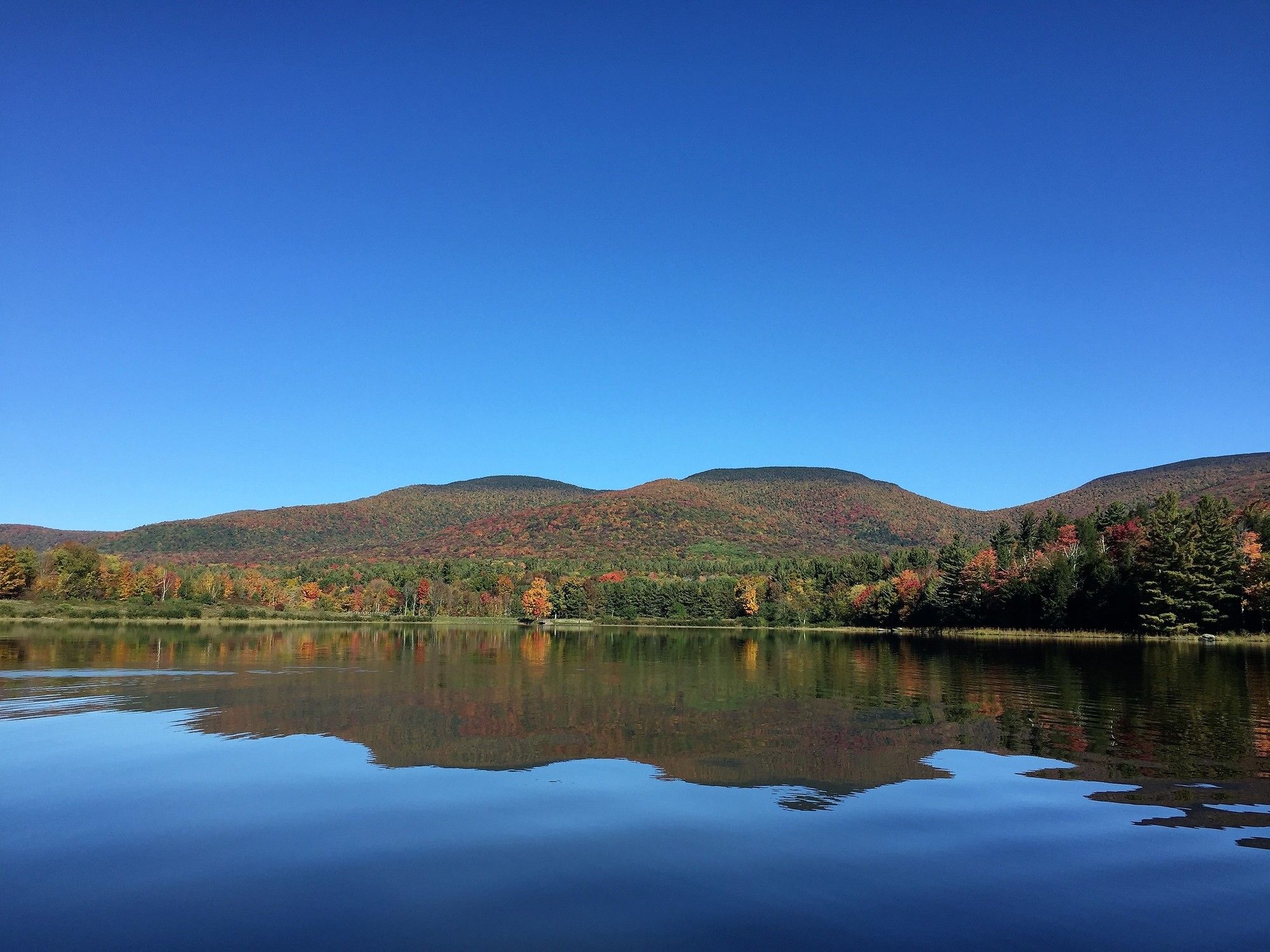 Фото Hotel Vienna