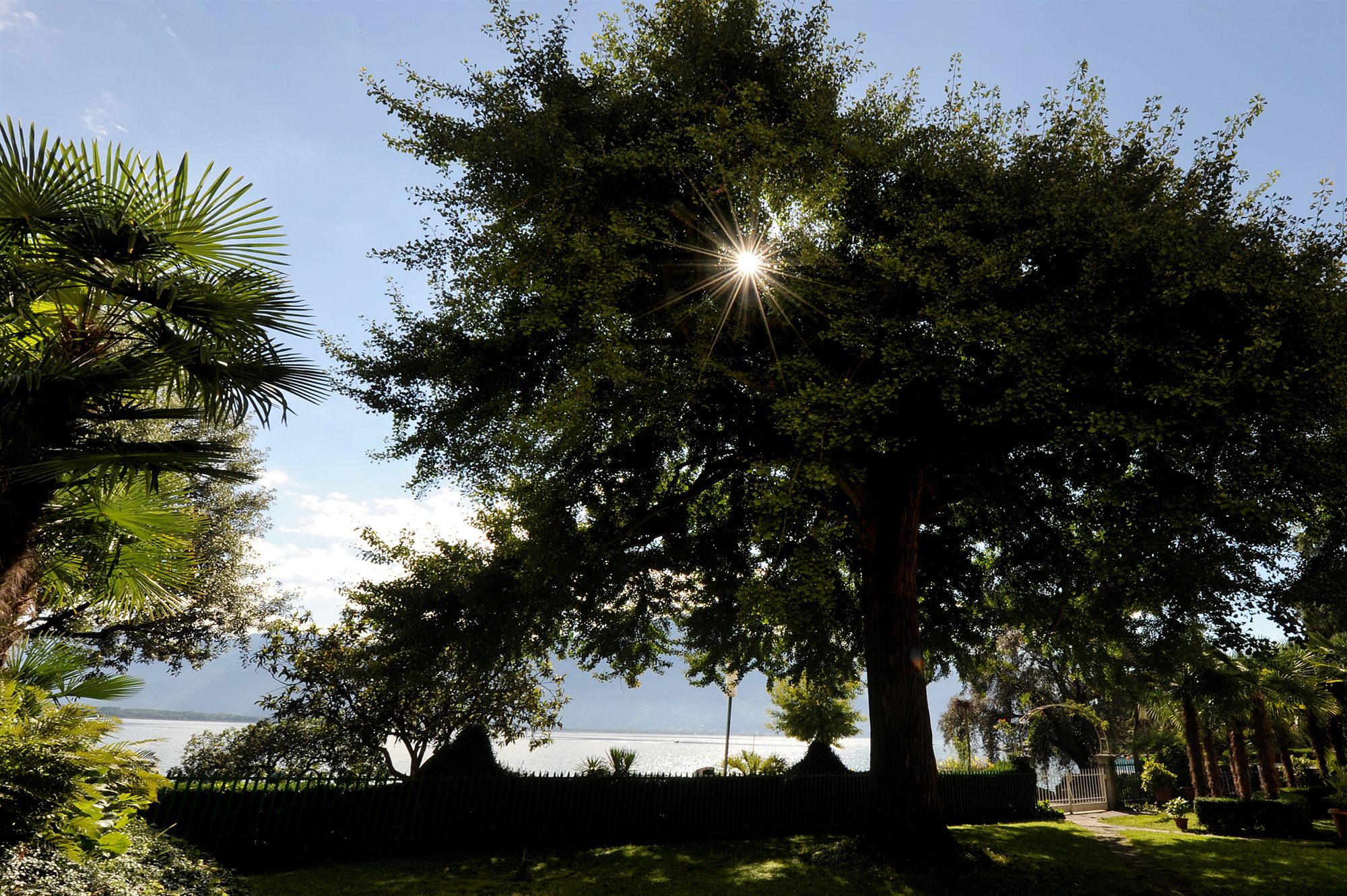 Фото Golf Hotel Rene Capt