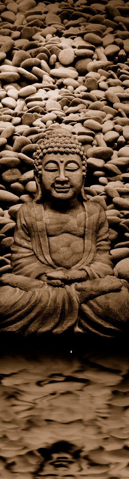 Фото Hotel Cartier