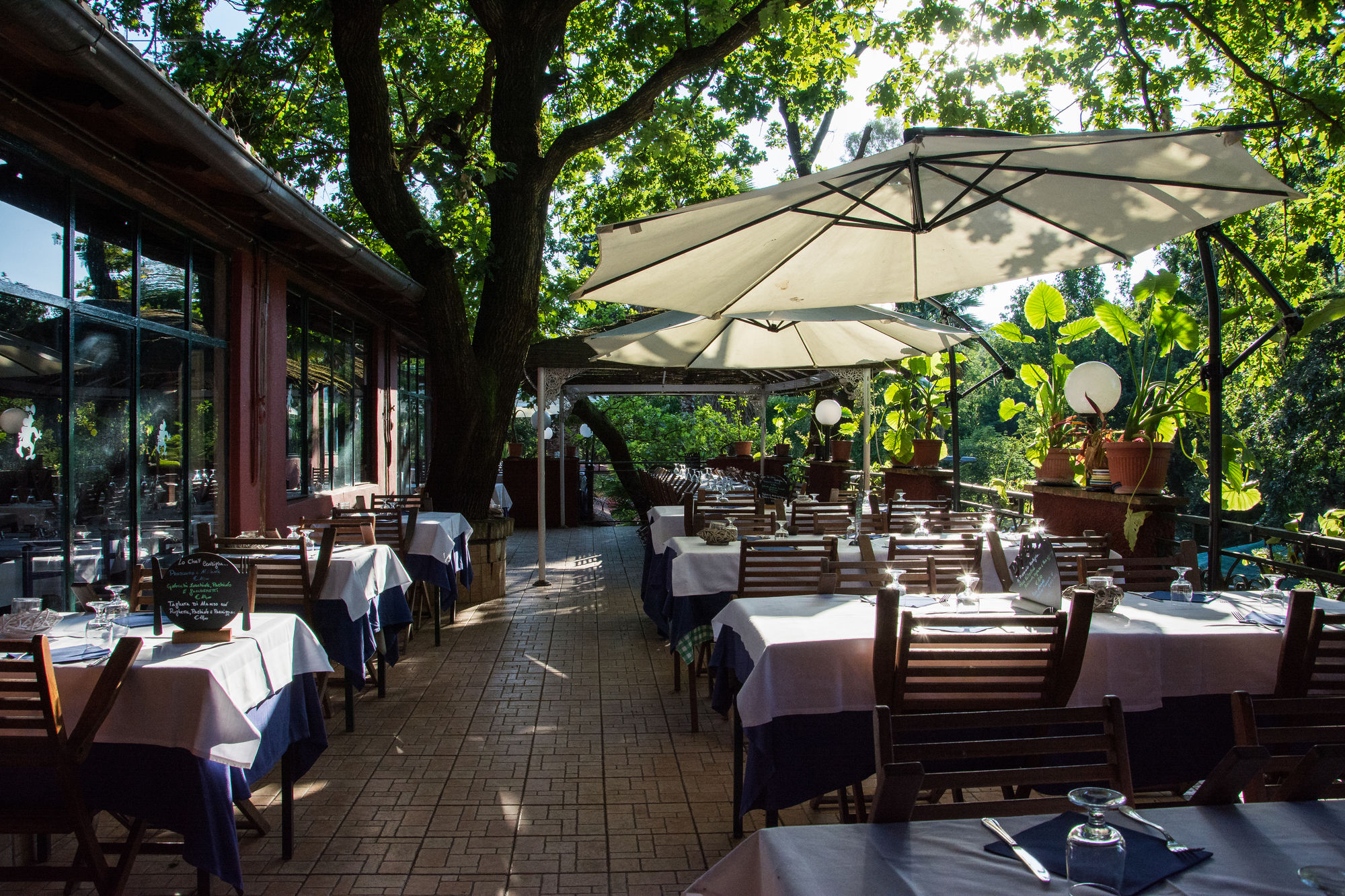 Фото Veio Residence Resort