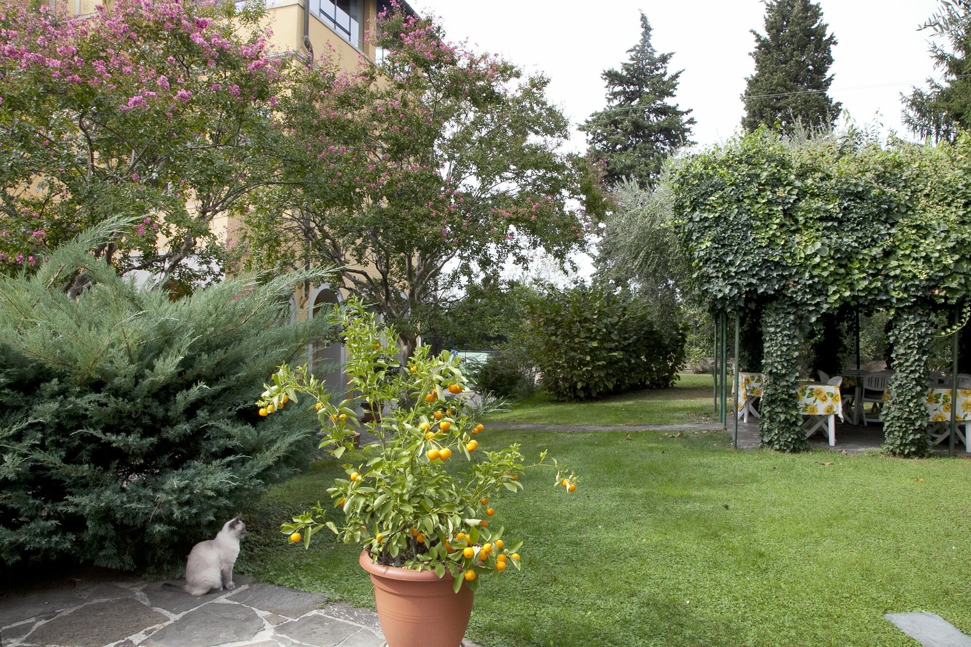 Фото Villa La Sosta