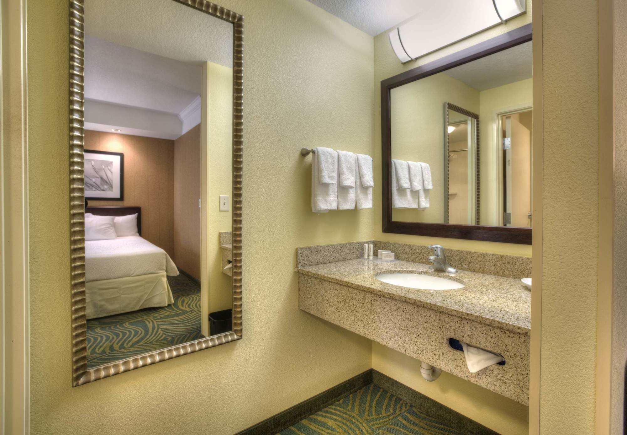 Фото Springhill Suites by Marriott Tampa Brandon