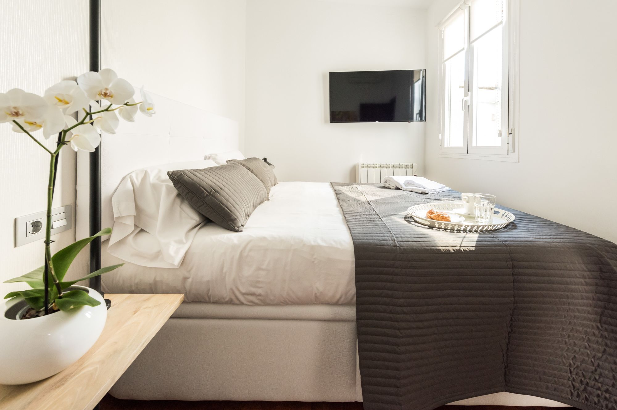 Фото 20563504227