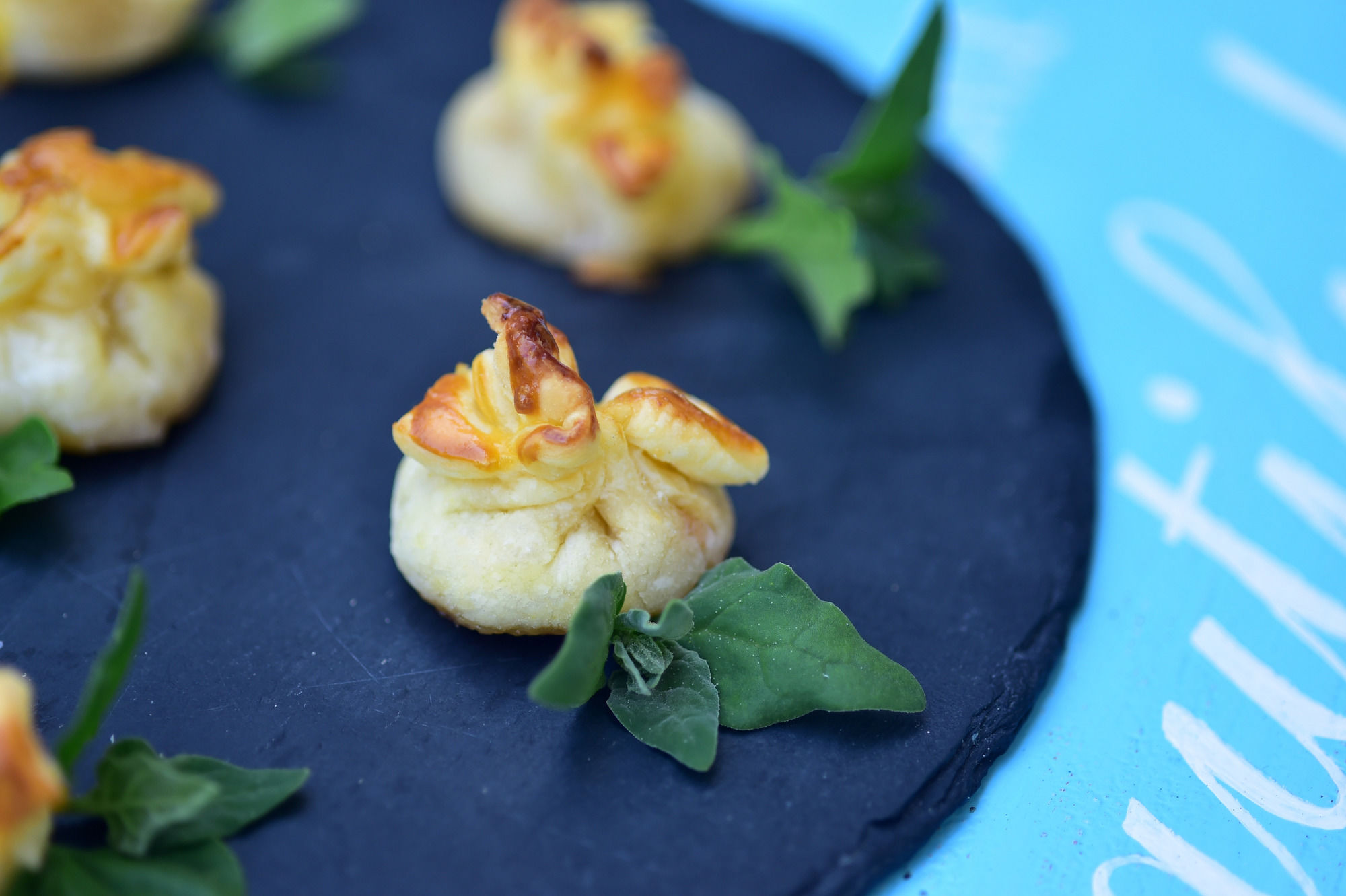 Фото Solar Egas Moniz Charming House & Local Experiences