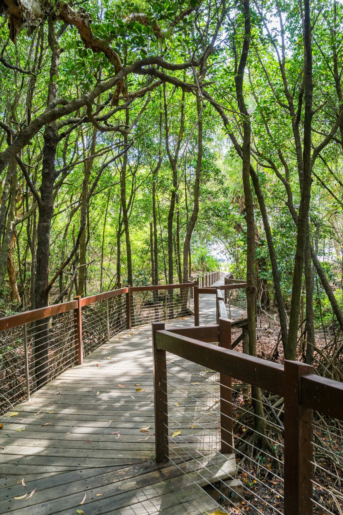 Фото The Sebel Palm Cove Coral Coast