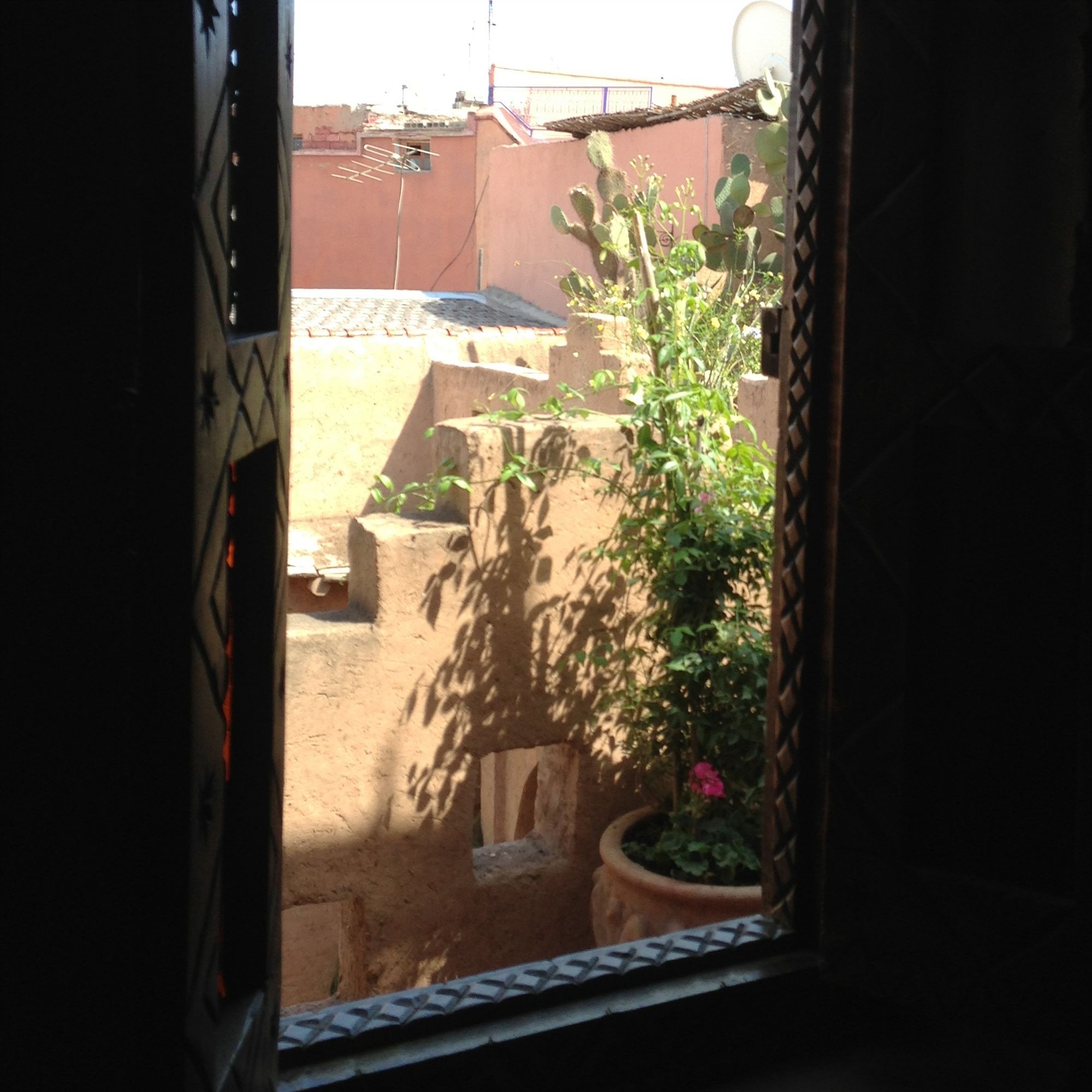 Фото Riad Mehdia