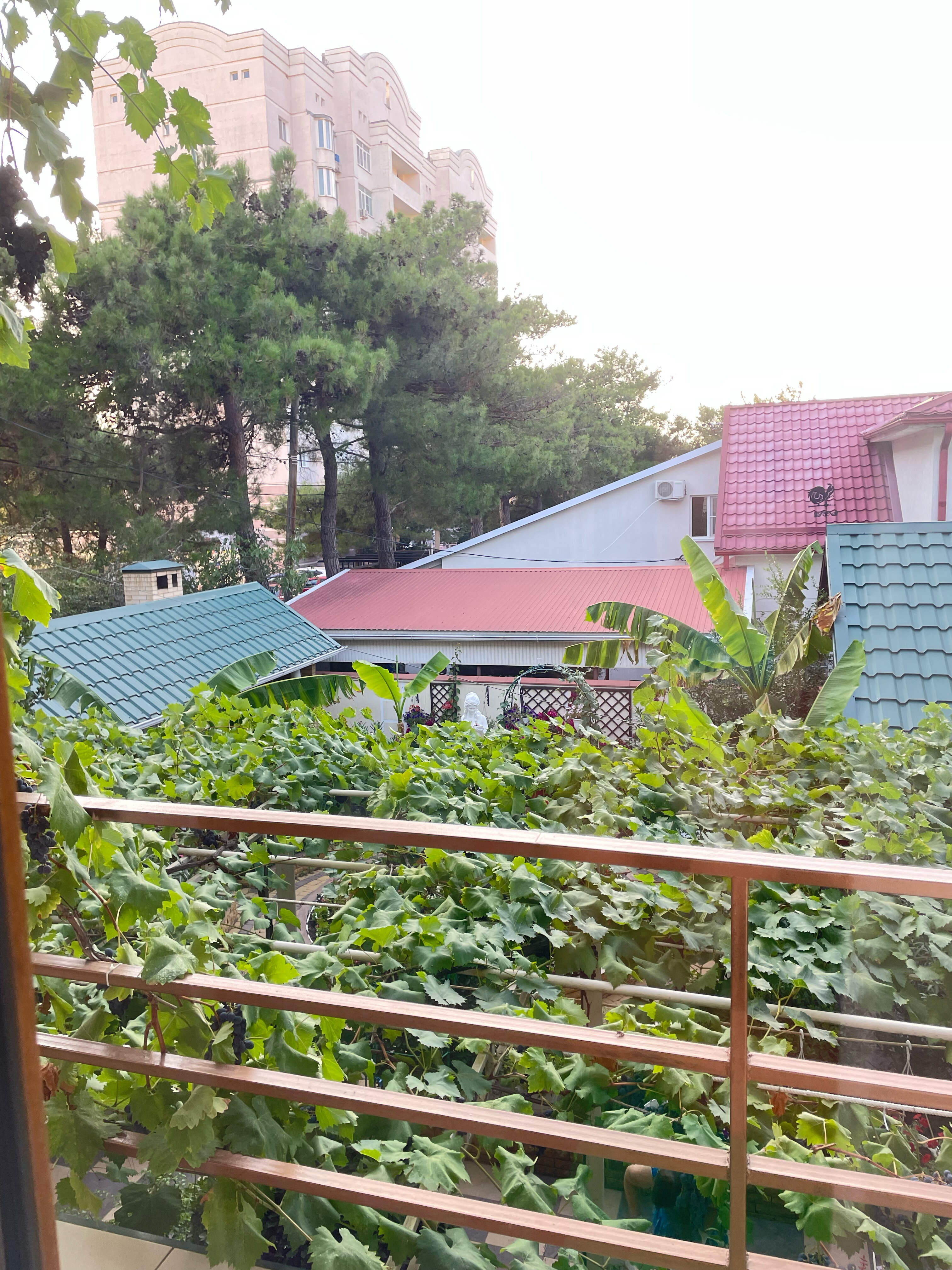 Фото Акварель