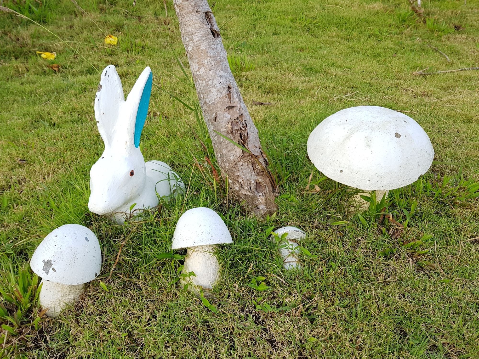 Фото Mossview Resort