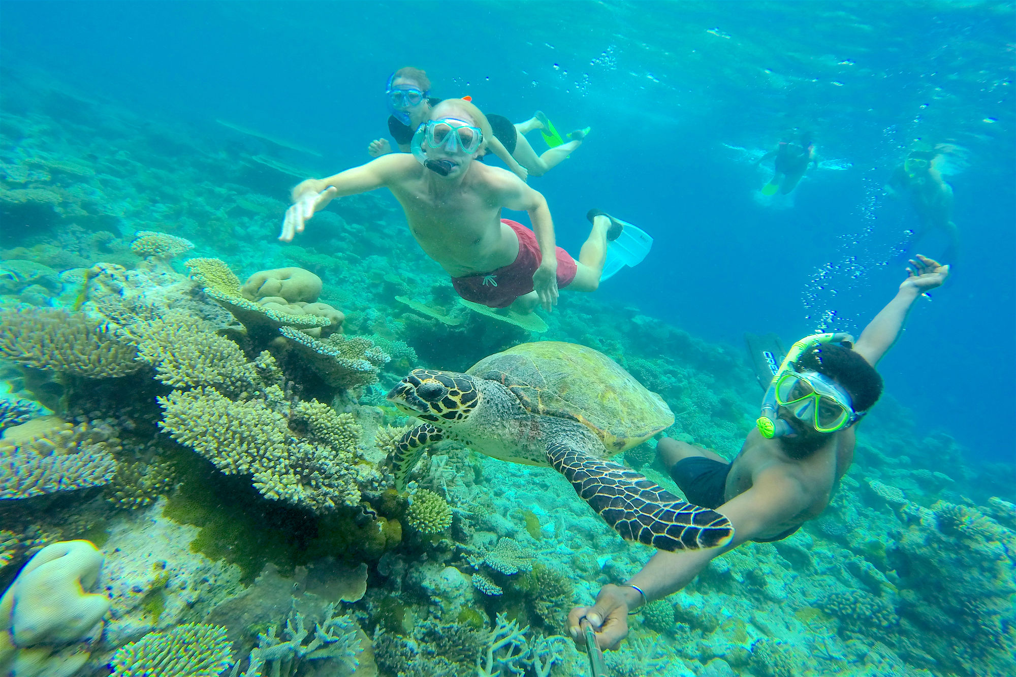 Фото Kaani Beach Hotel