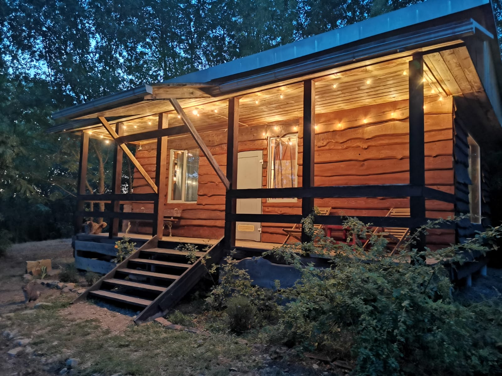 Фото Грушевая вода