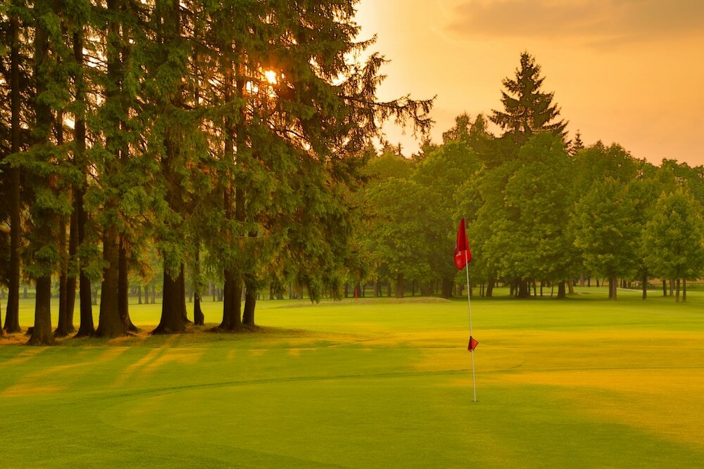 Фото 194355623668