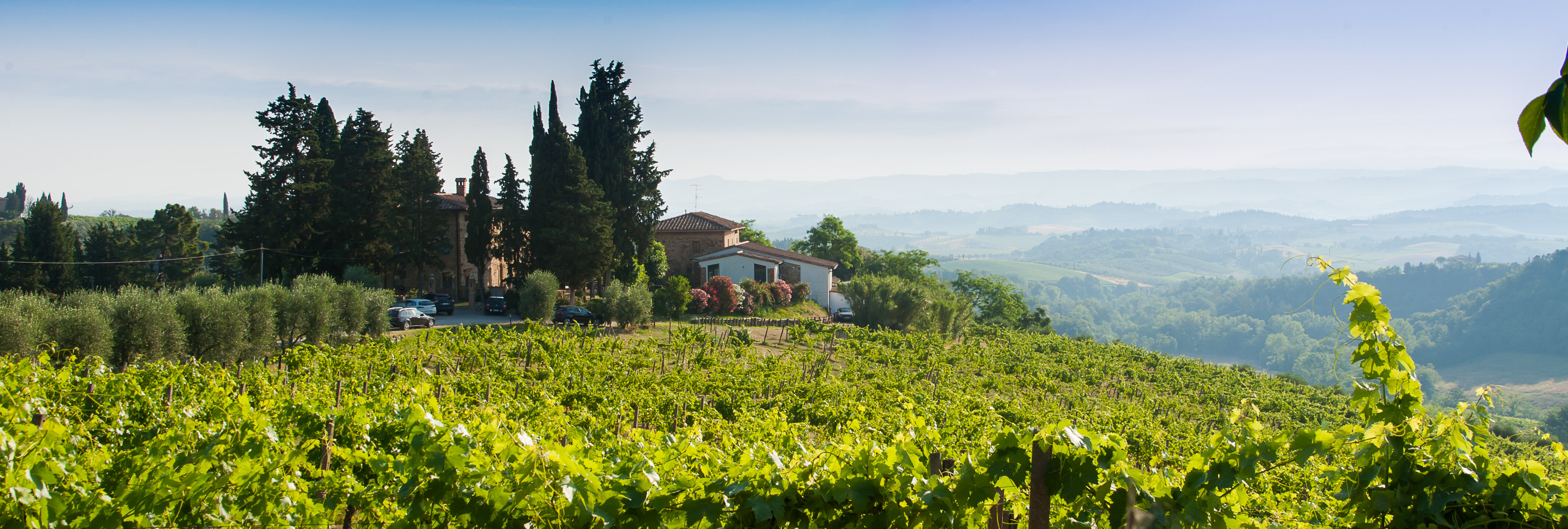 Фото Il Castagnolo