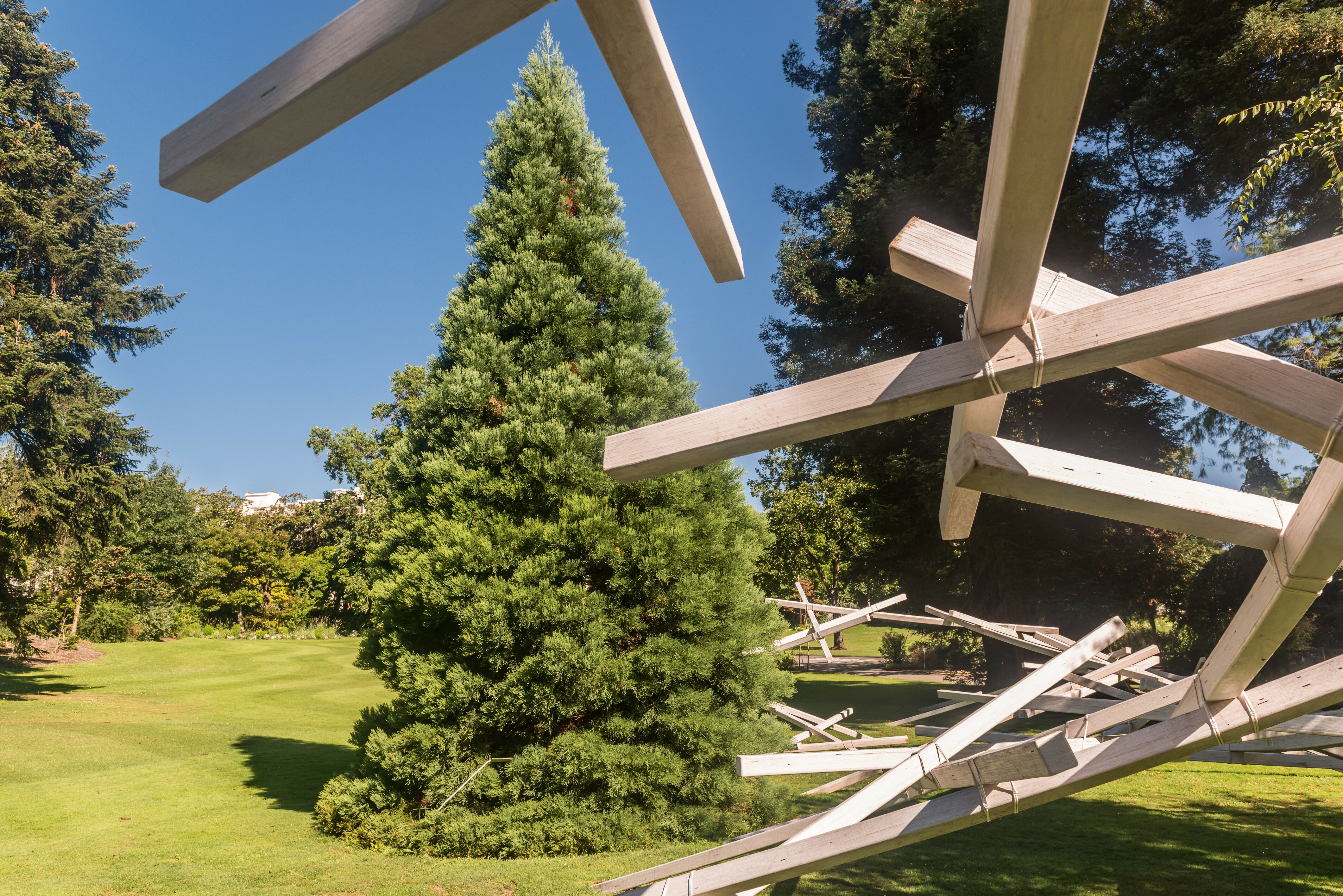 Фото 11112265610