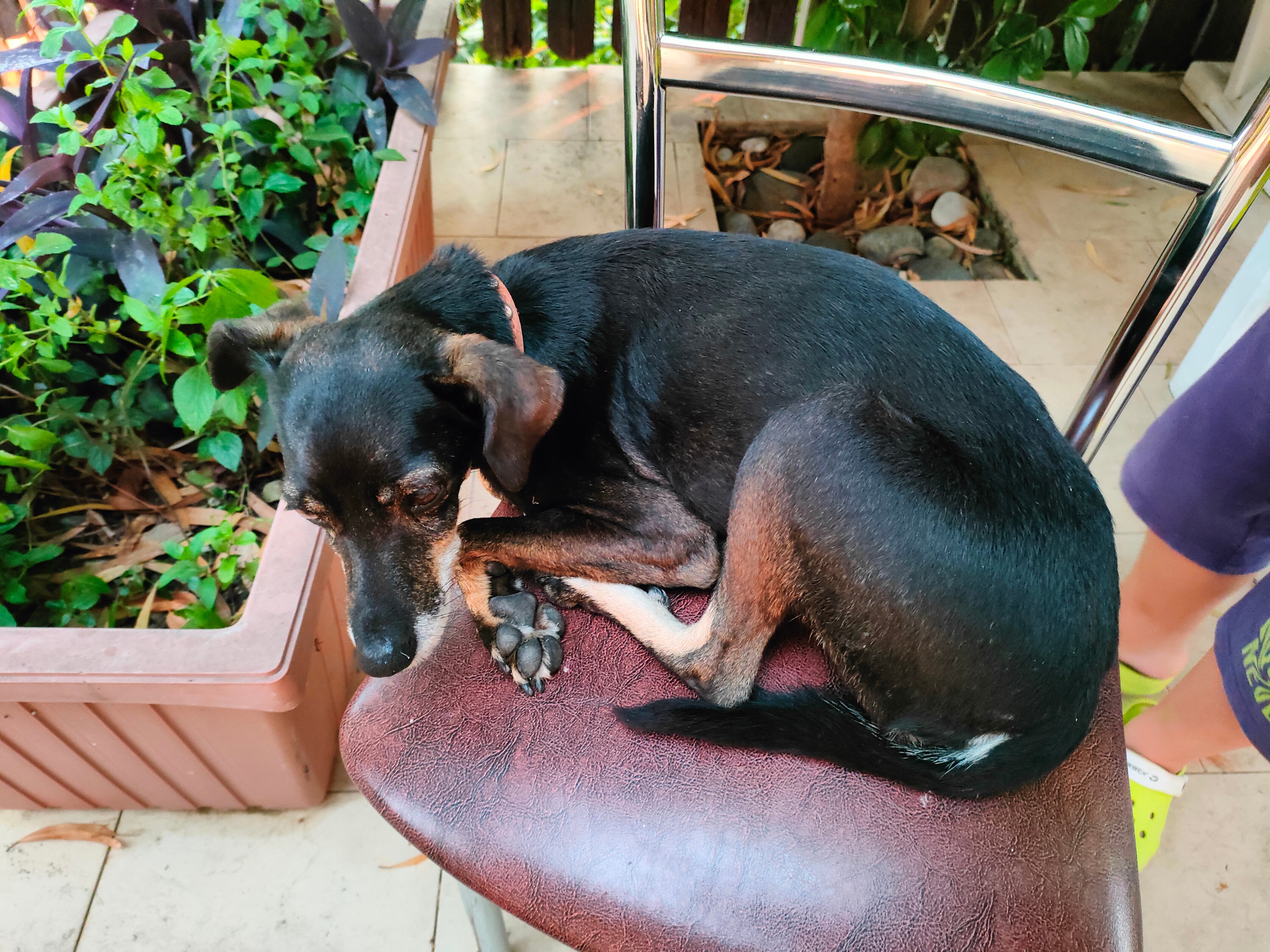 Фото Сказка